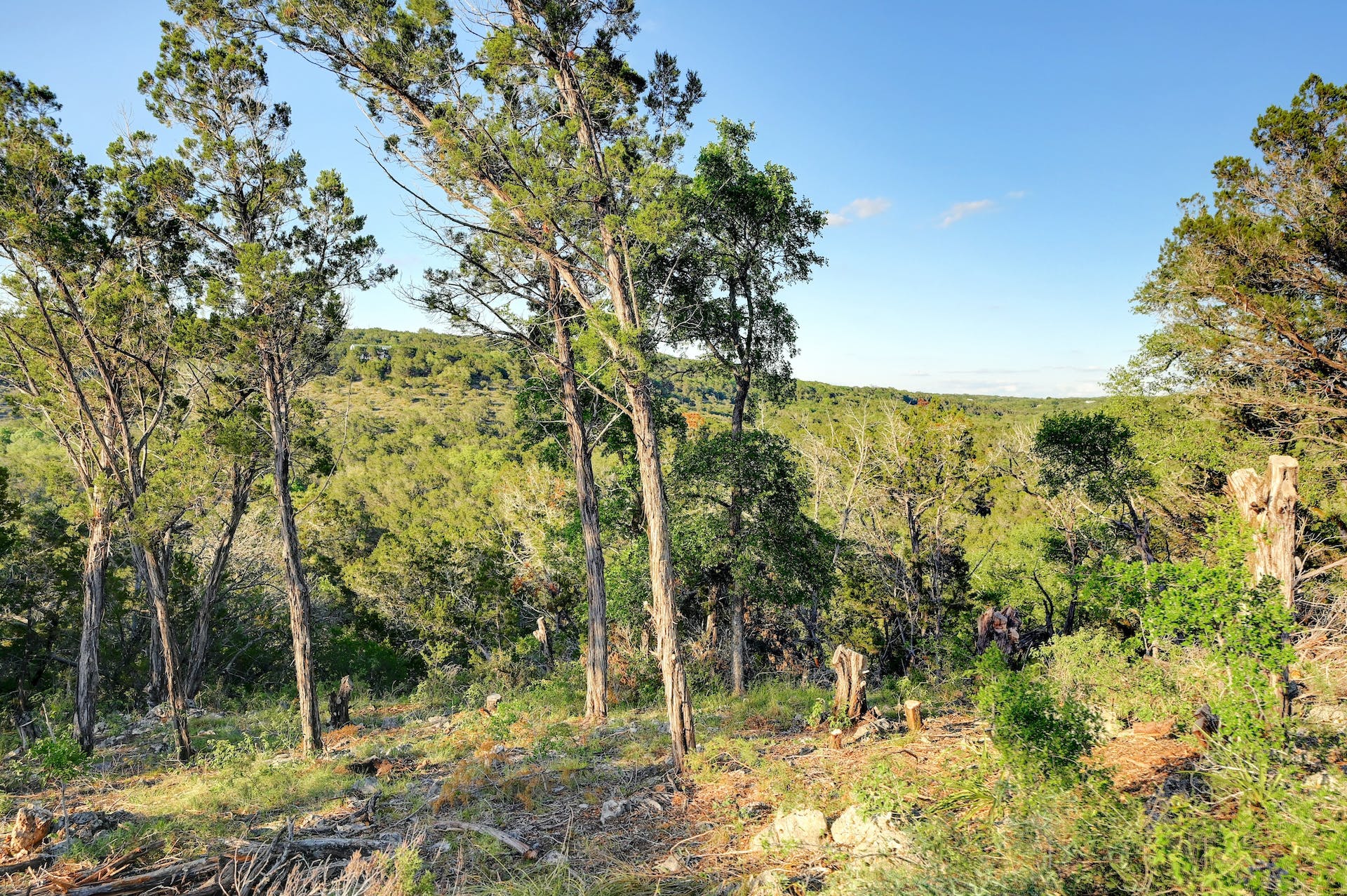 main property photo 9