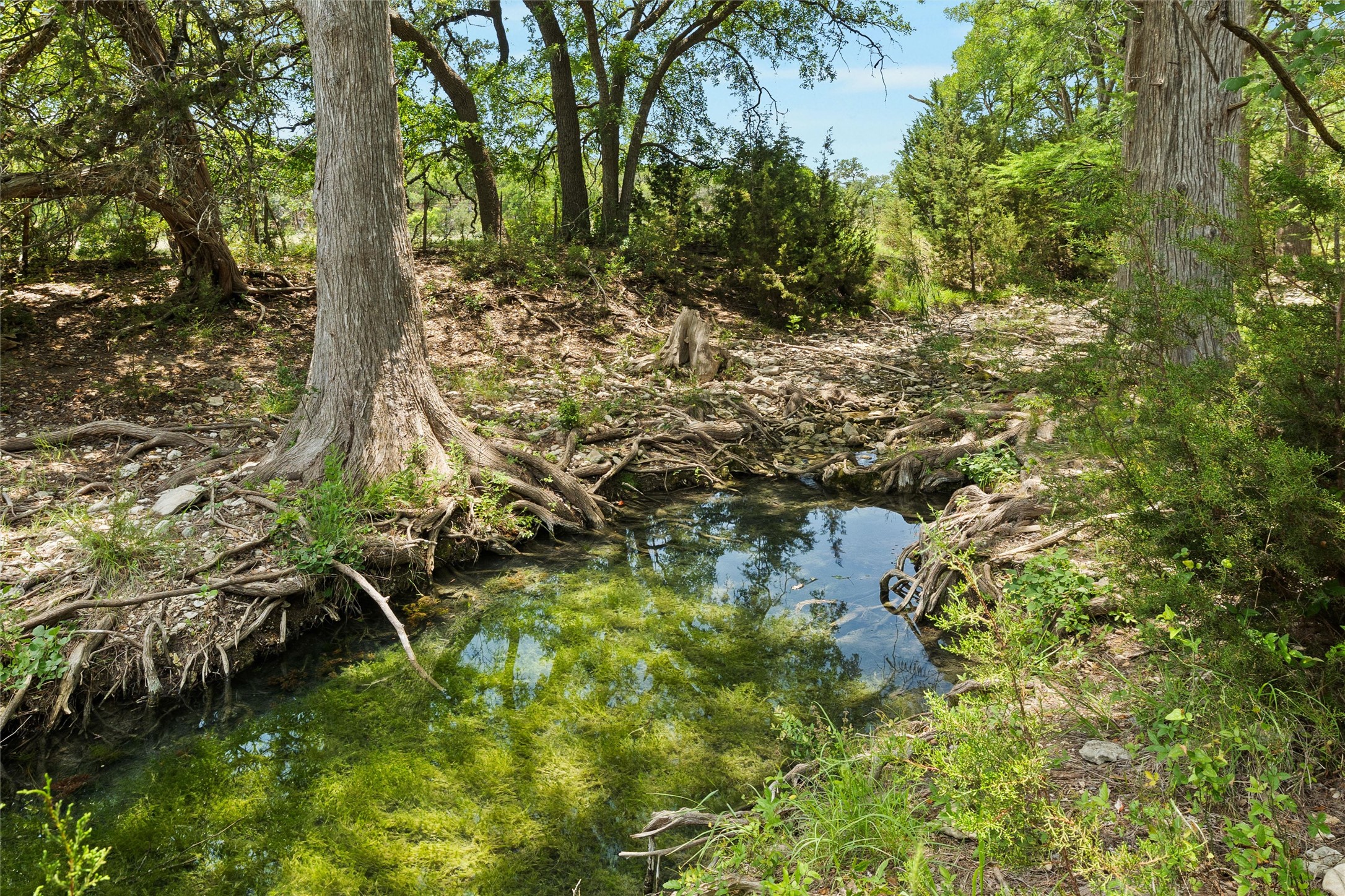 main property photo 26