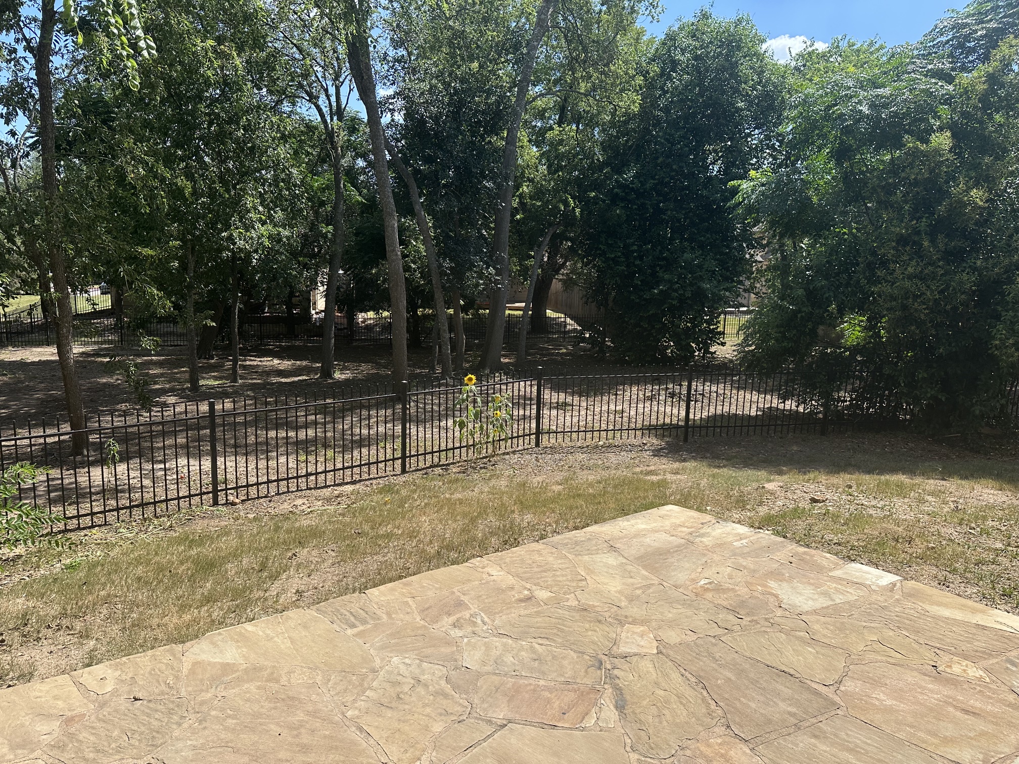 main property photo 37