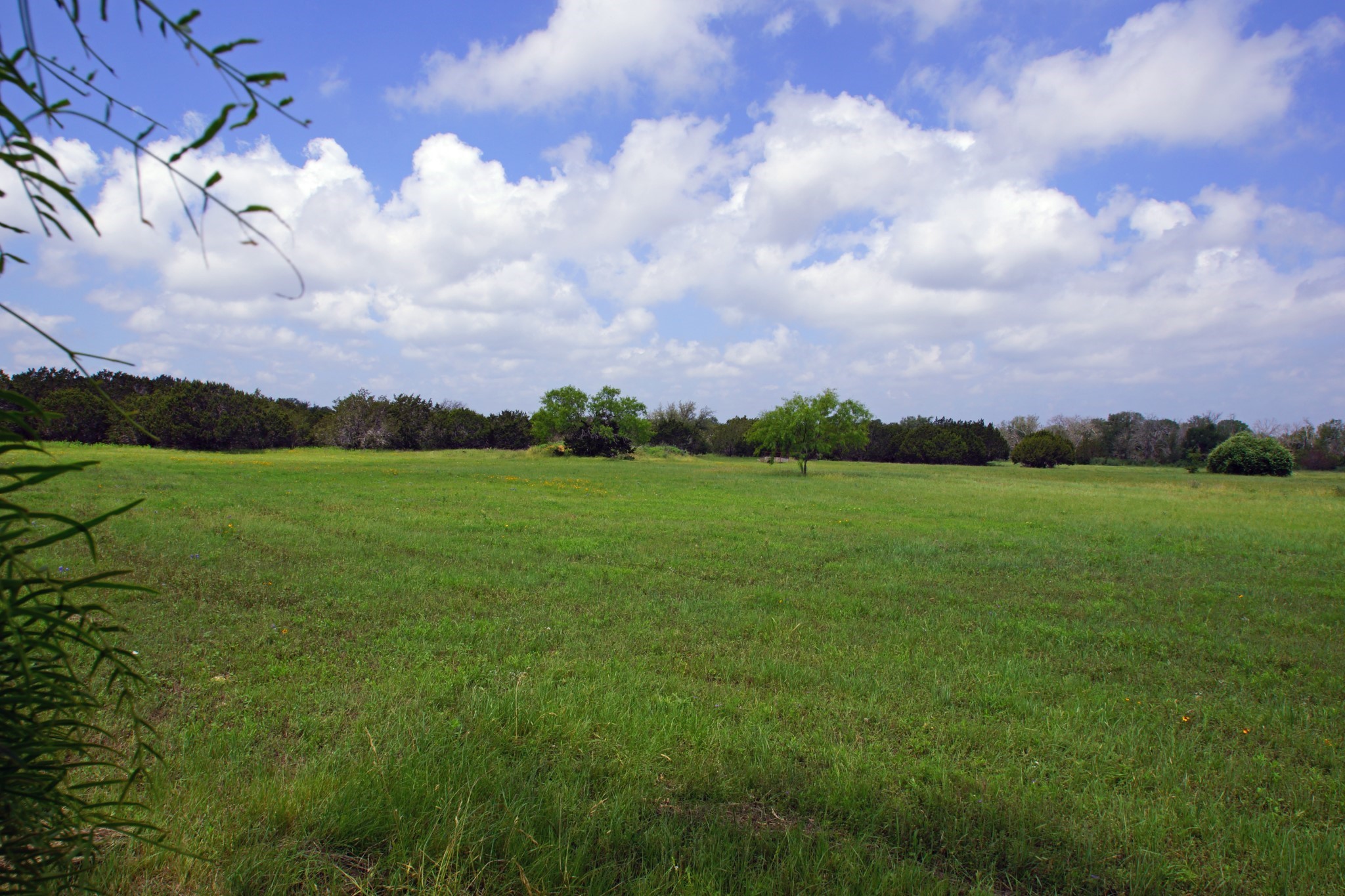 main property photo 10
