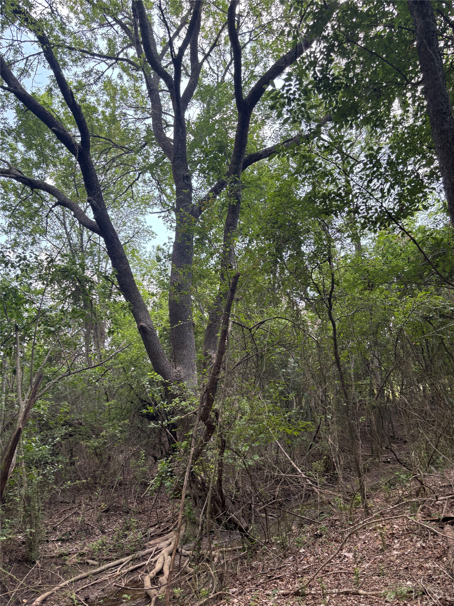 main property photo 11