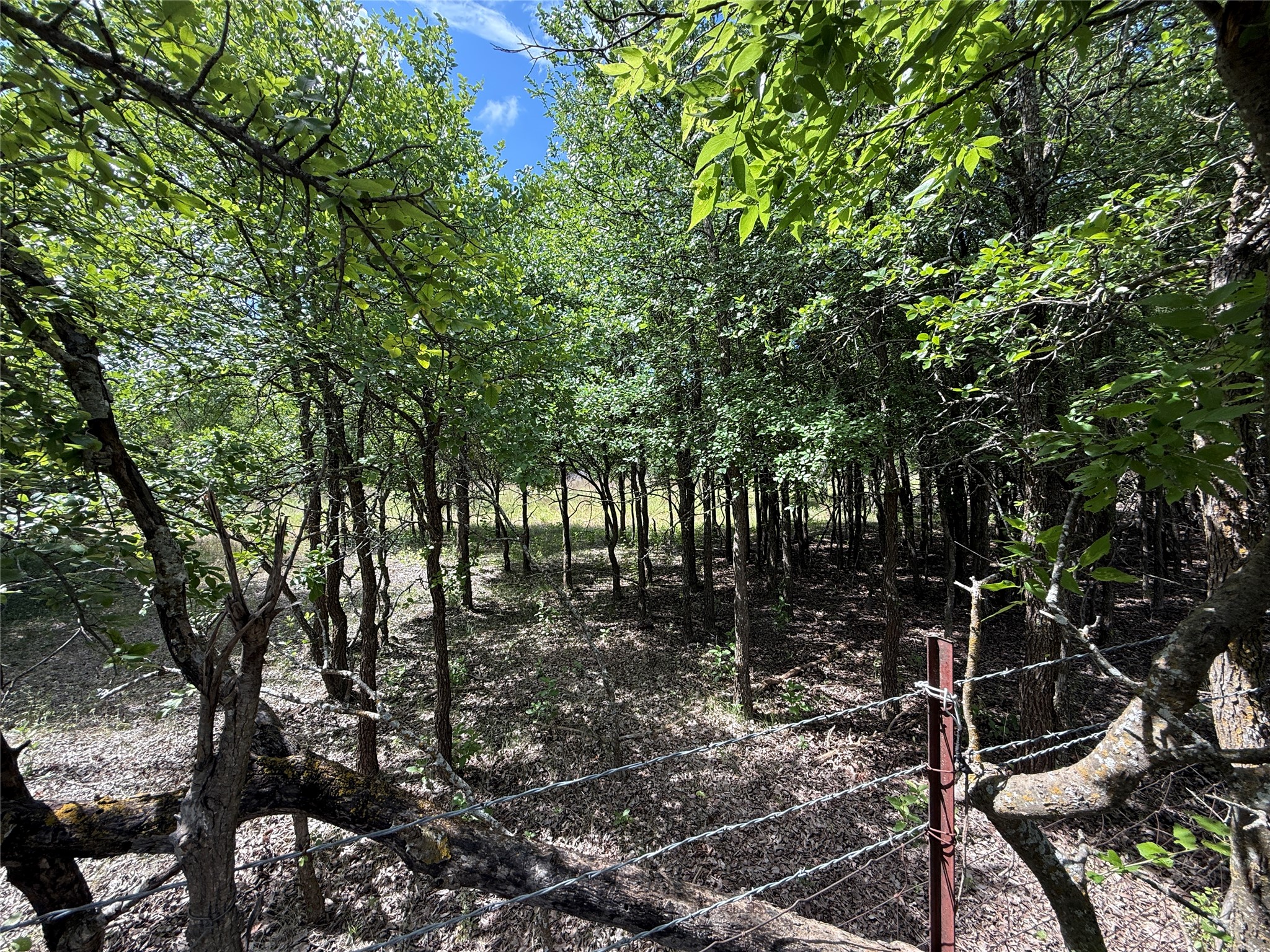 main property photo 33