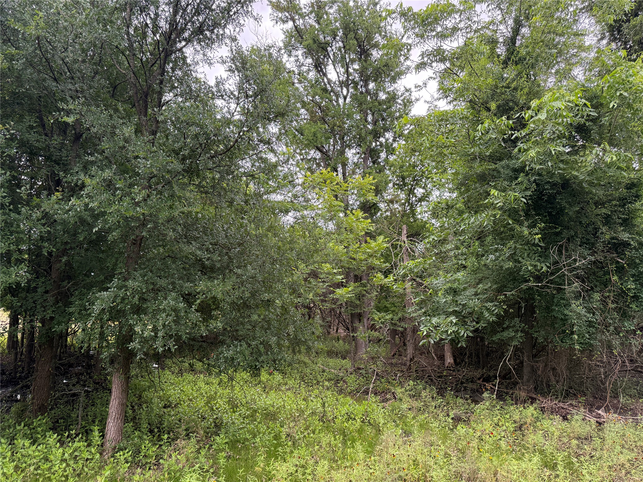 main property photo 35