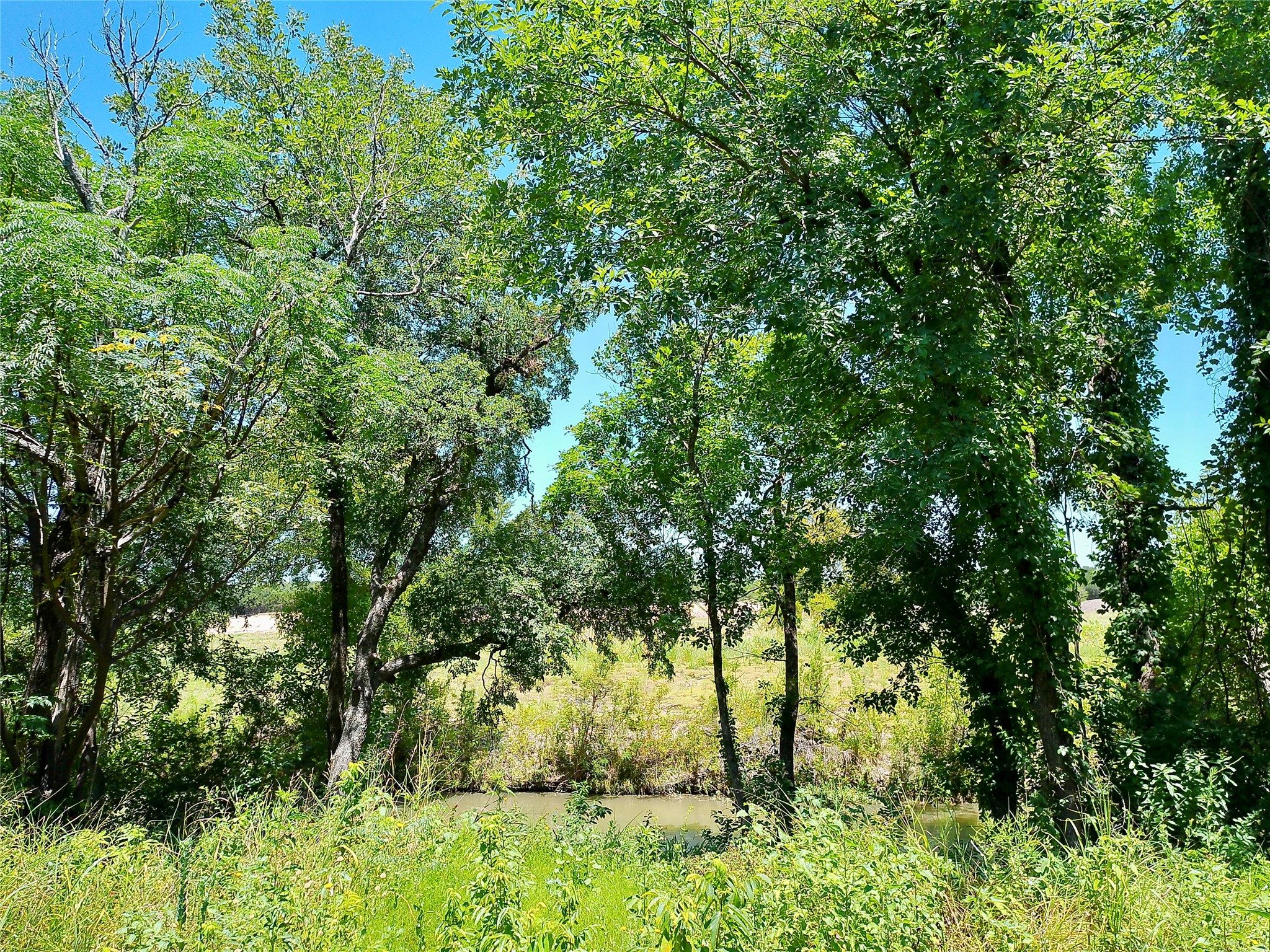 main property photo 10