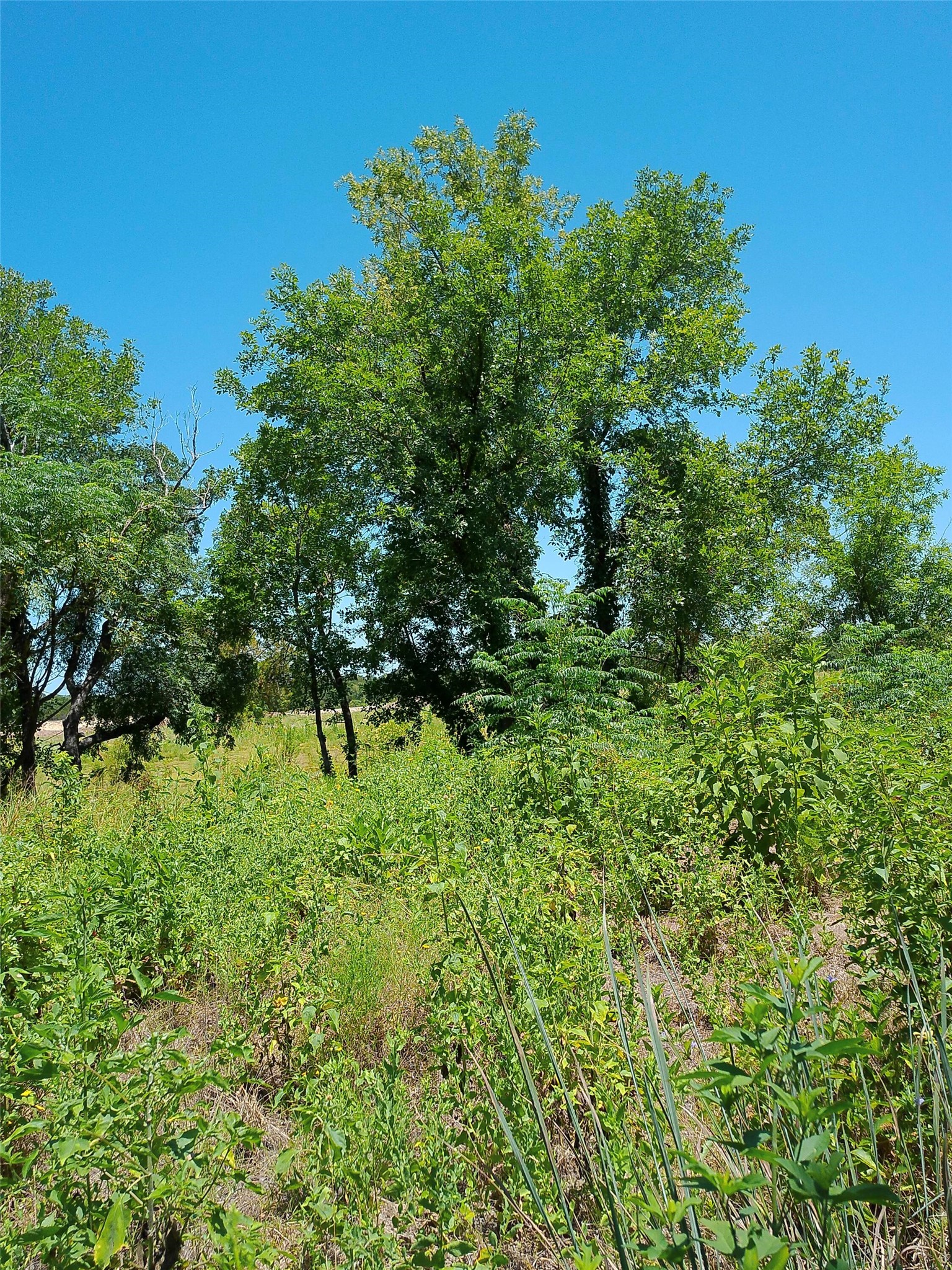 main property photo 11
