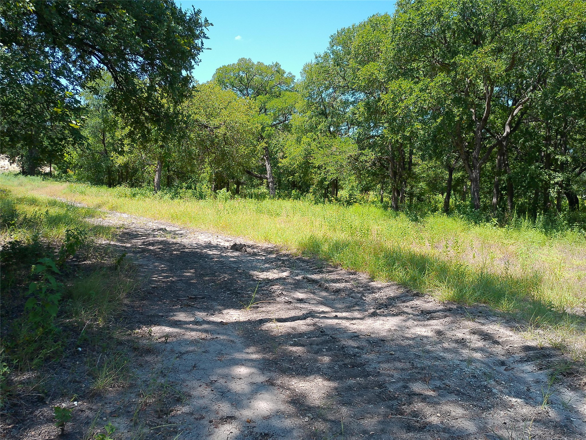 main property photo 13