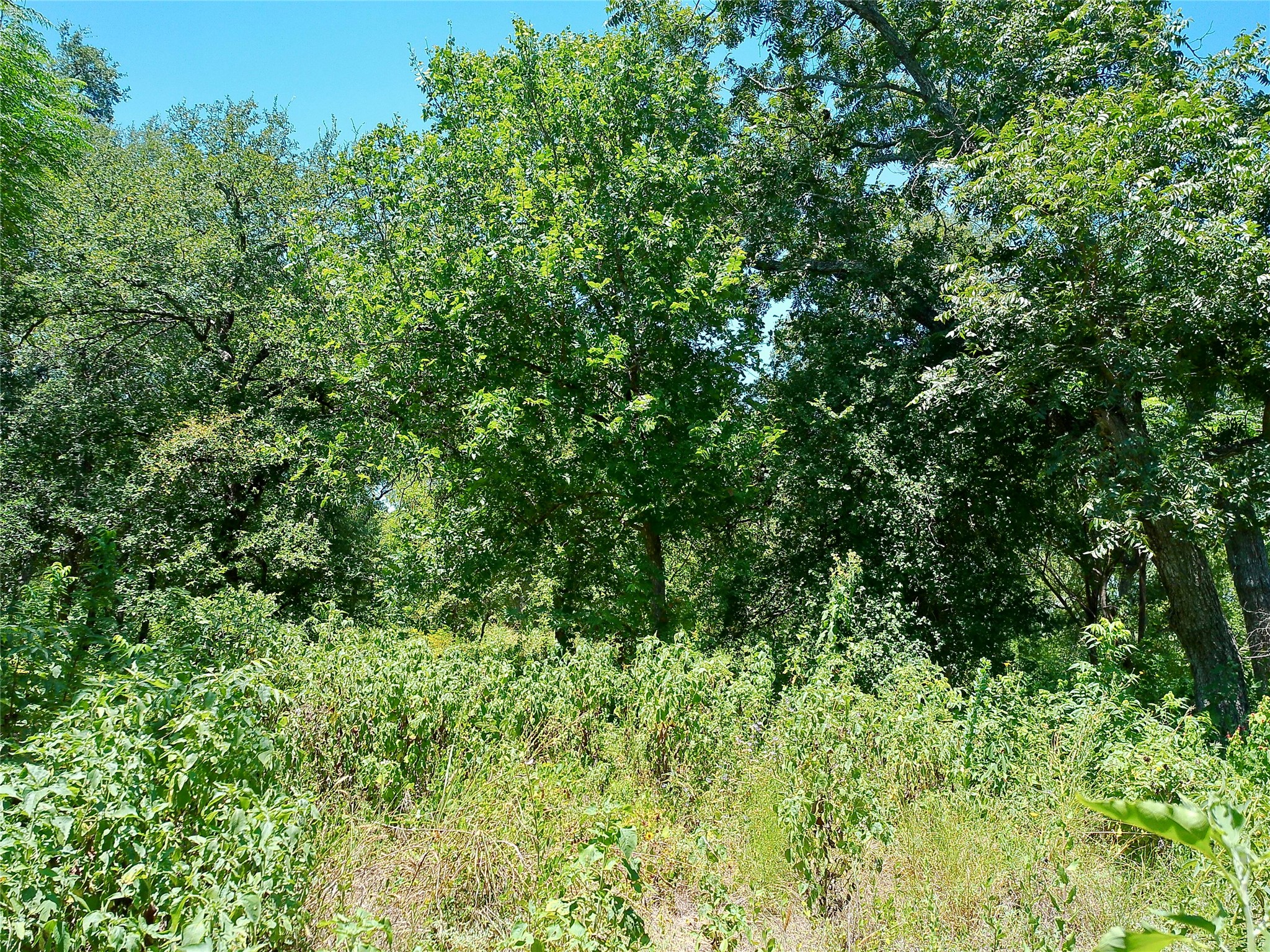 main property photo 14