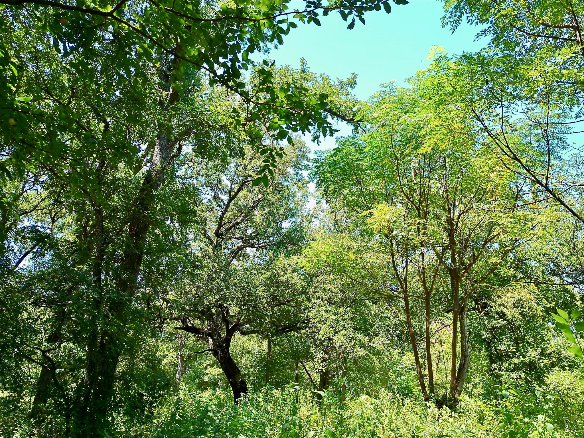 main property photo 16