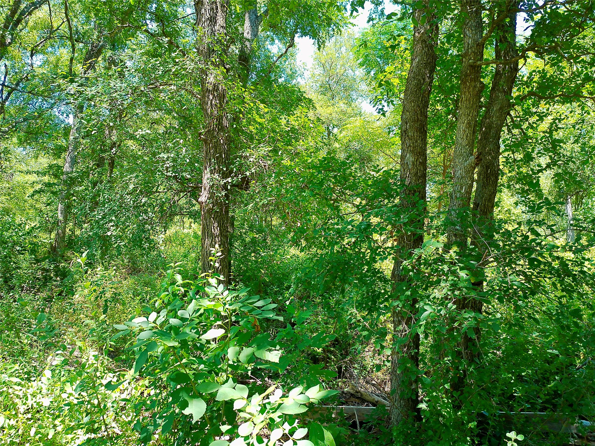 main property photo 17