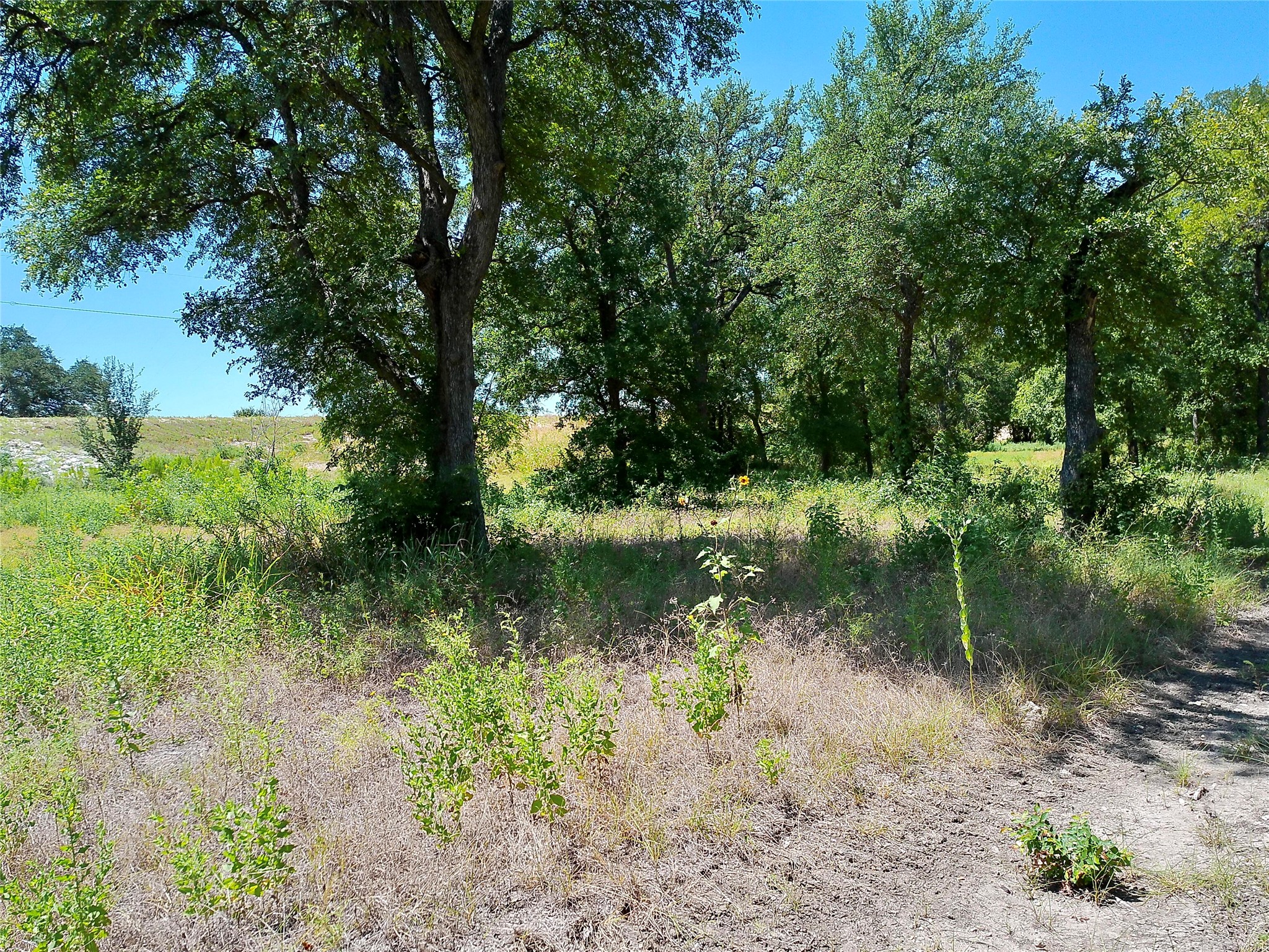 main property photo 18