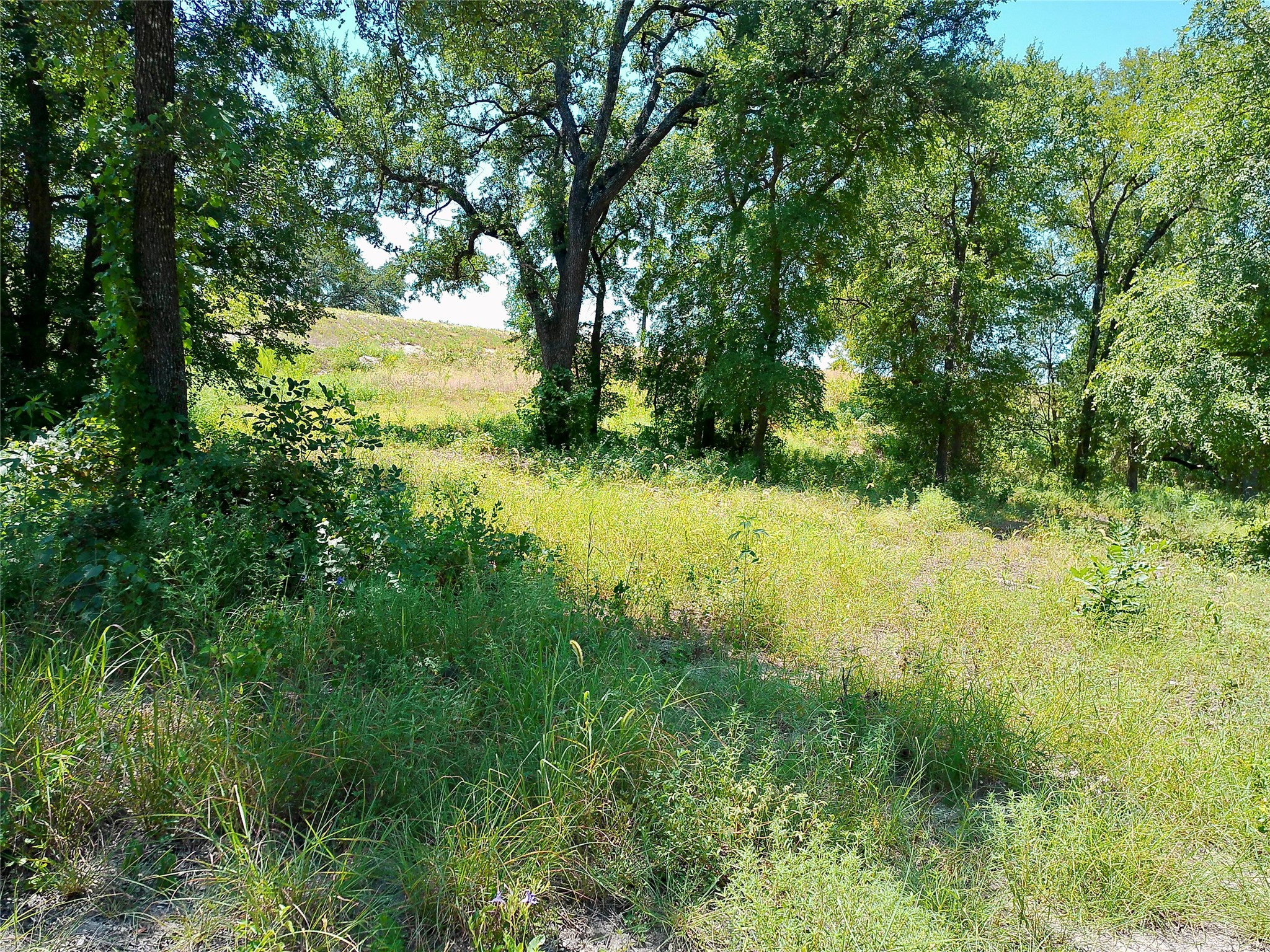 main property photo 19