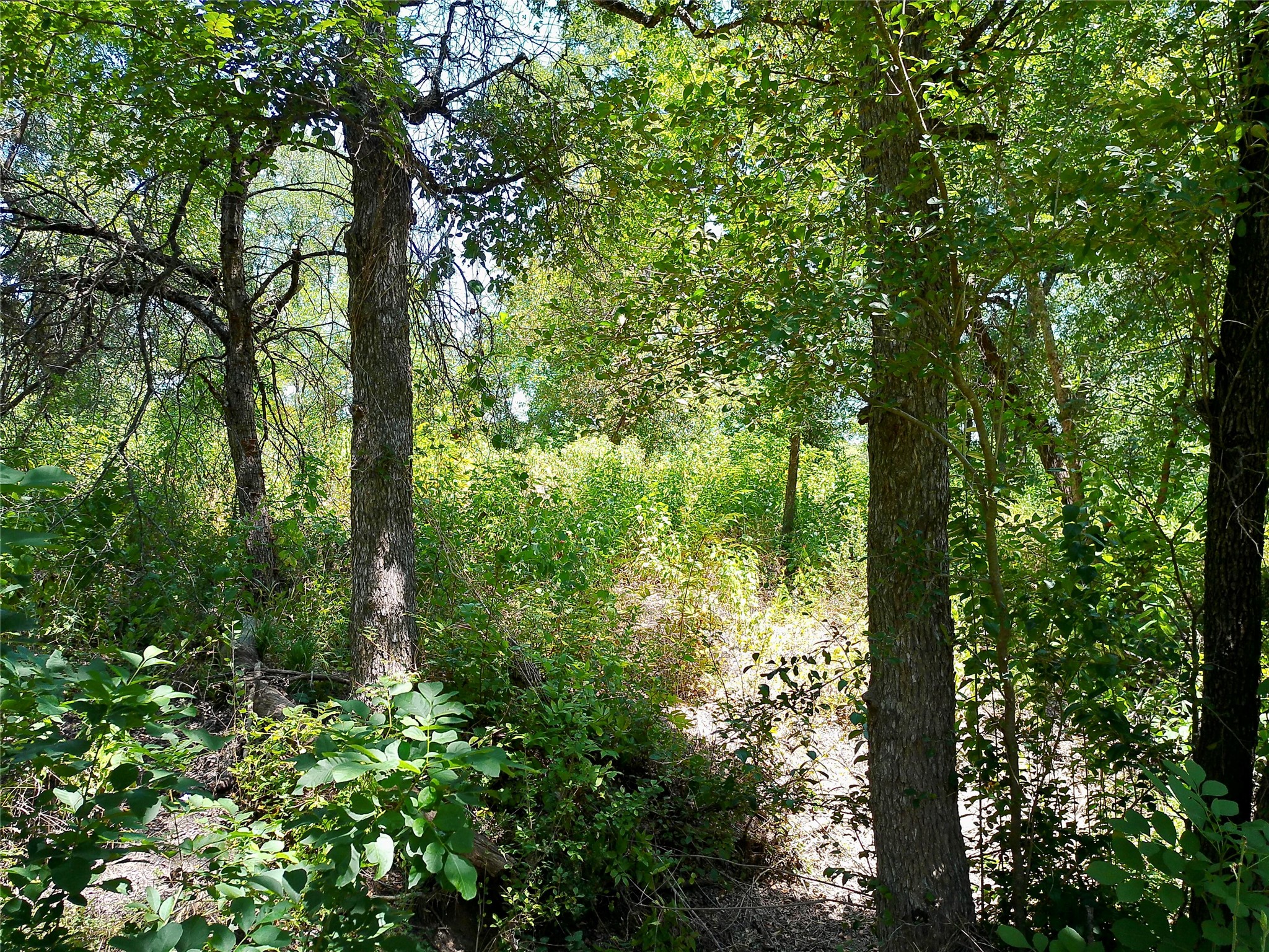 main property photo 20