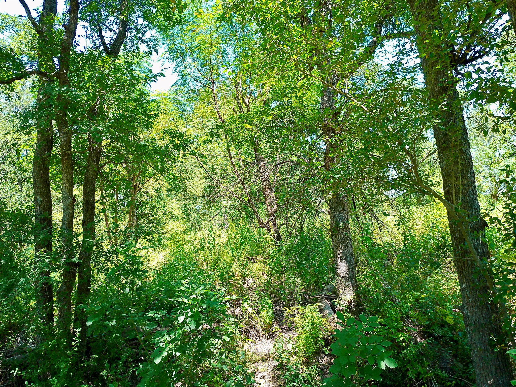 main property photo 23