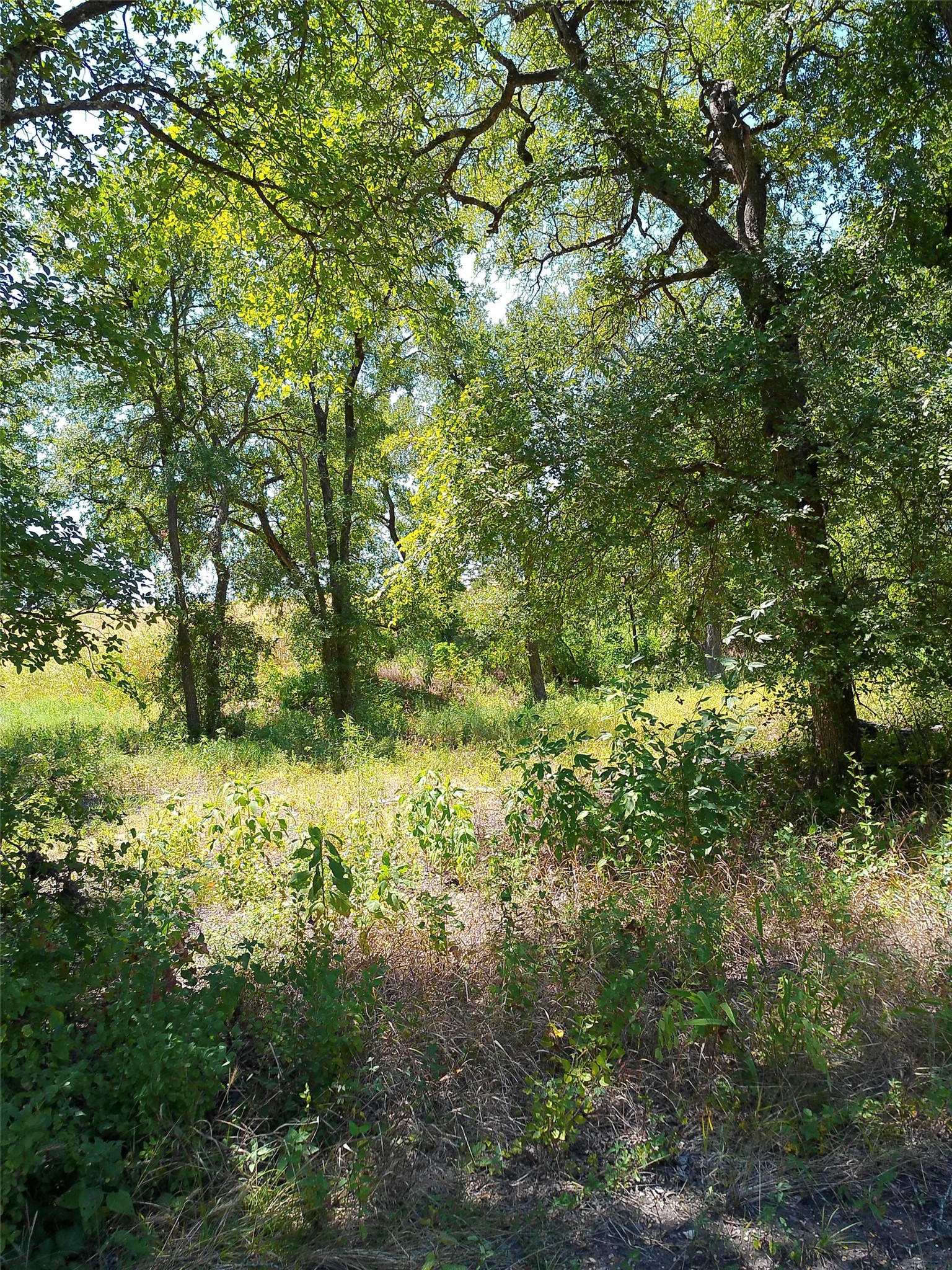 main property photo 25