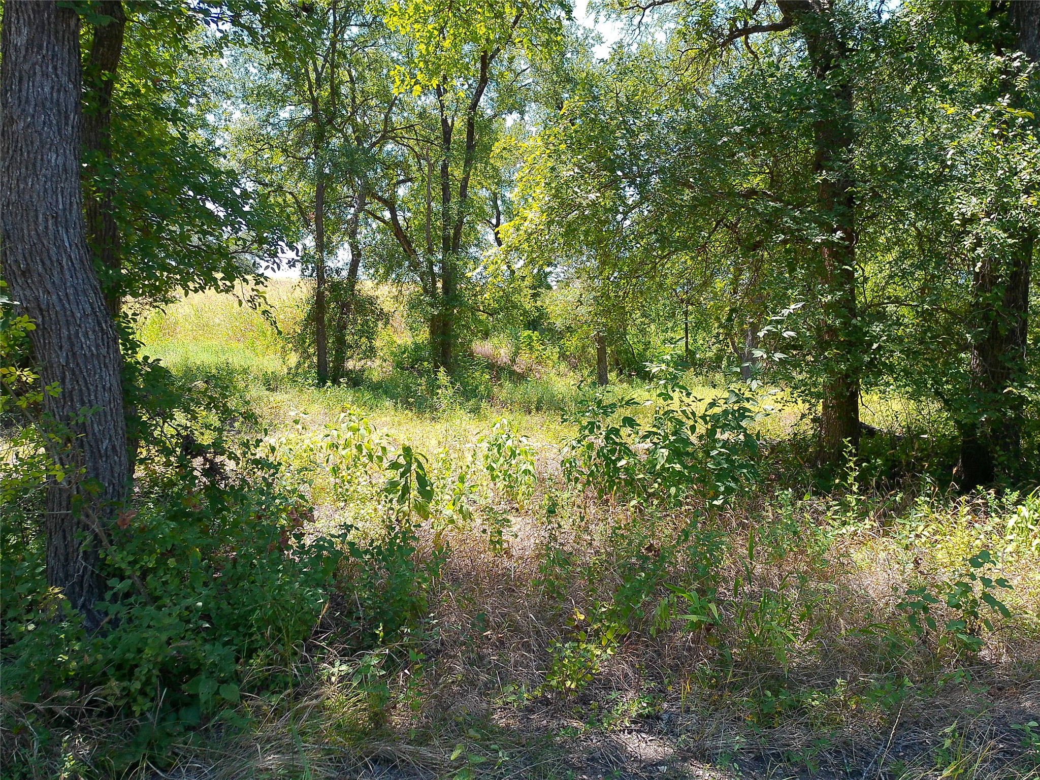 main property photo 26