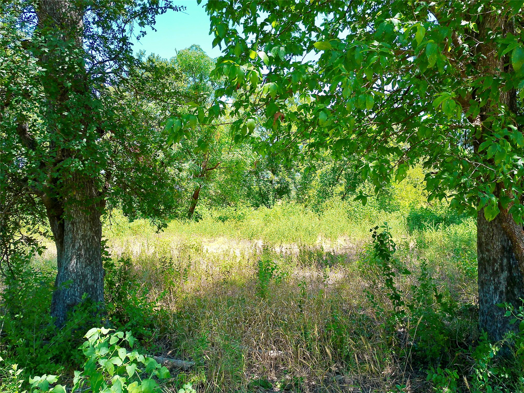 main property photo 29