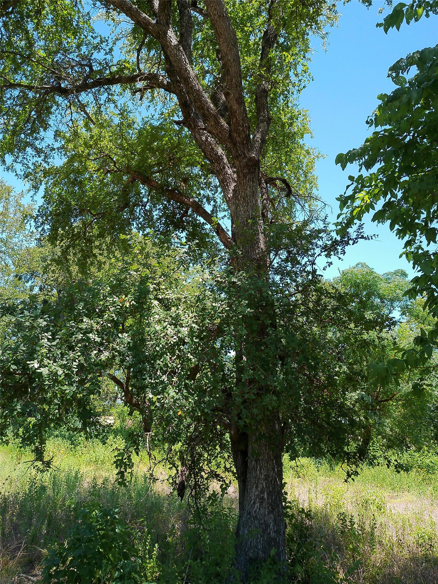 main property photo 30