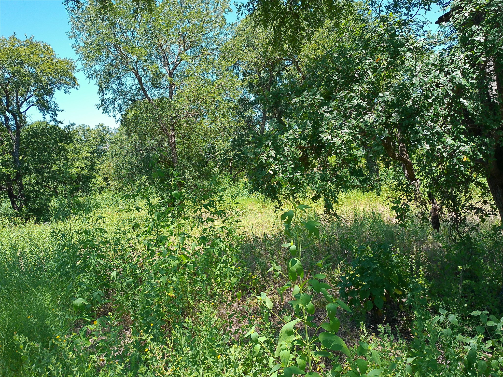 main property photo 31