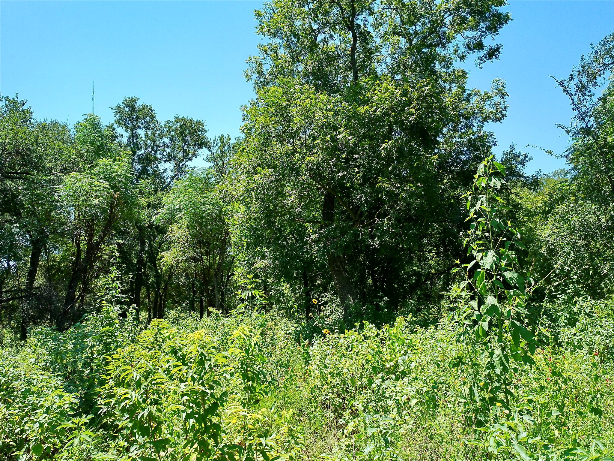 main property photo 7