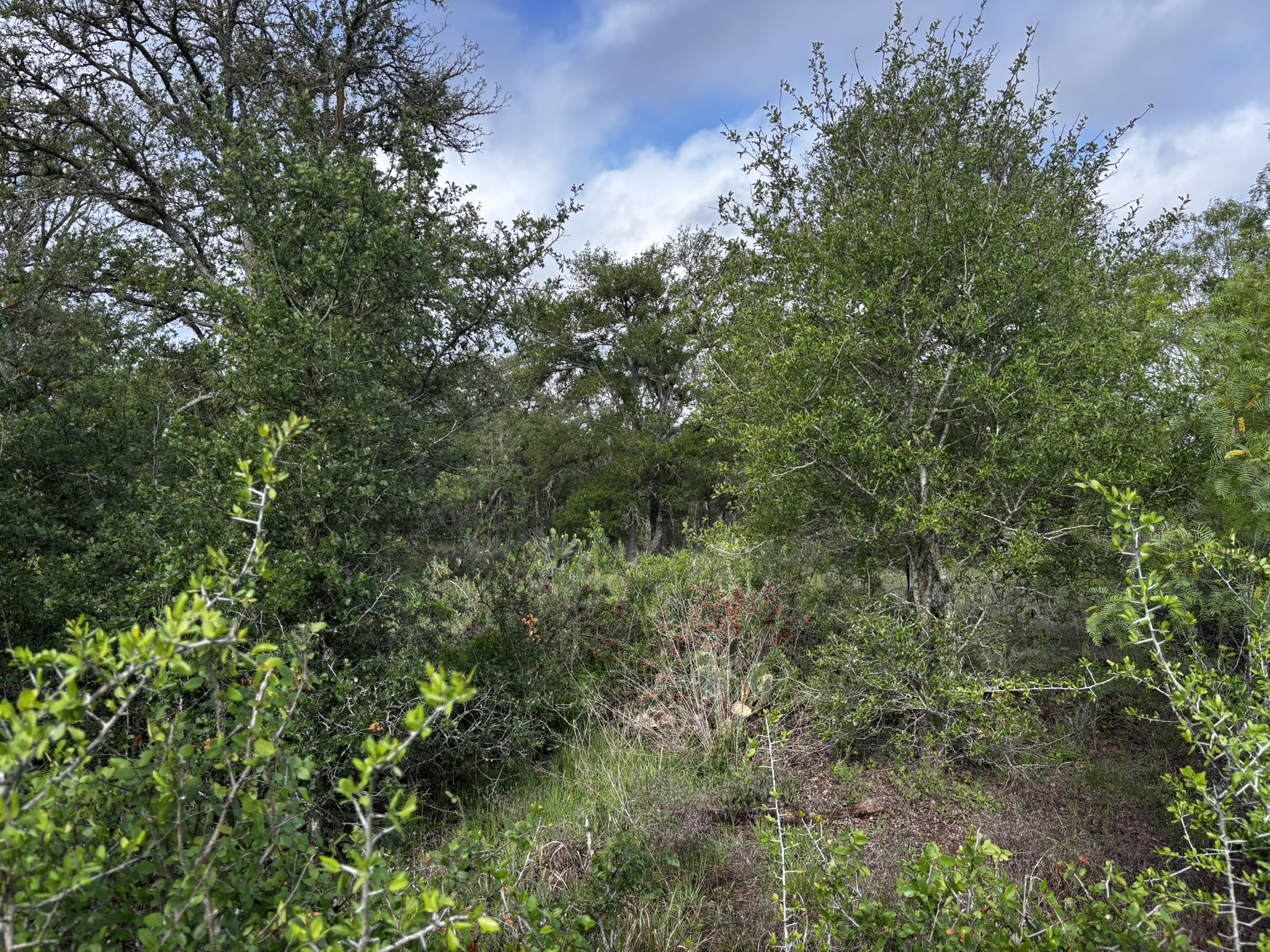 main property photo 18
