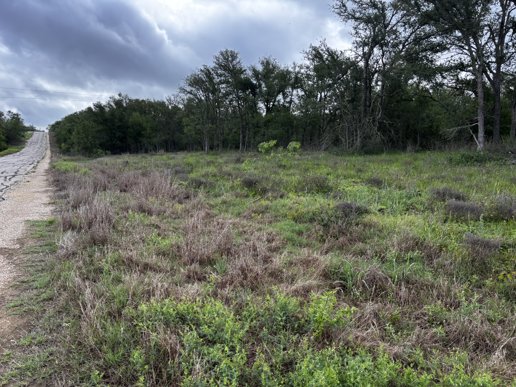 main property photo 19