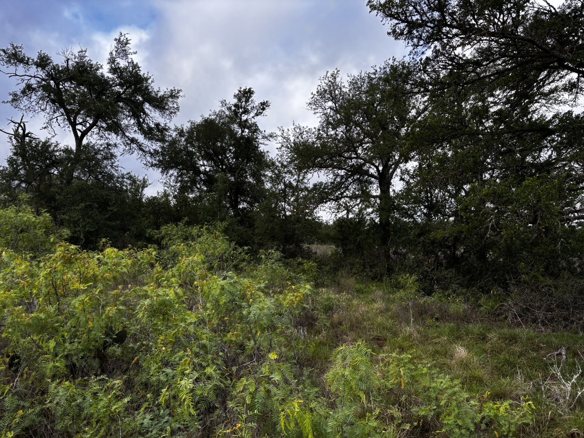 main property photo 26