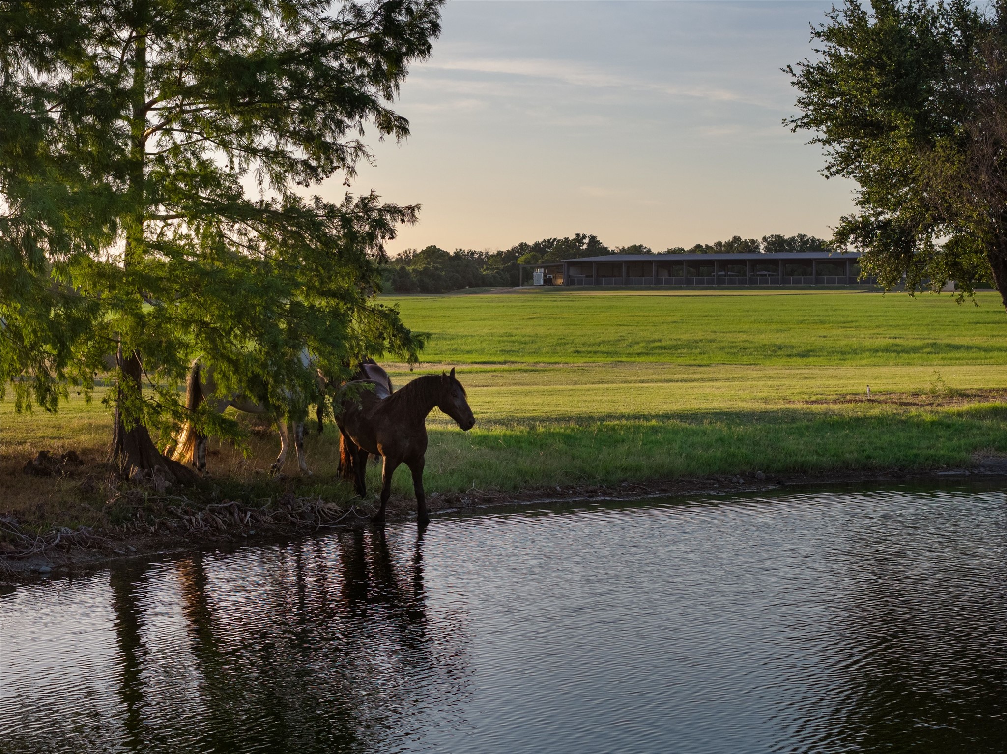 main property photo 37