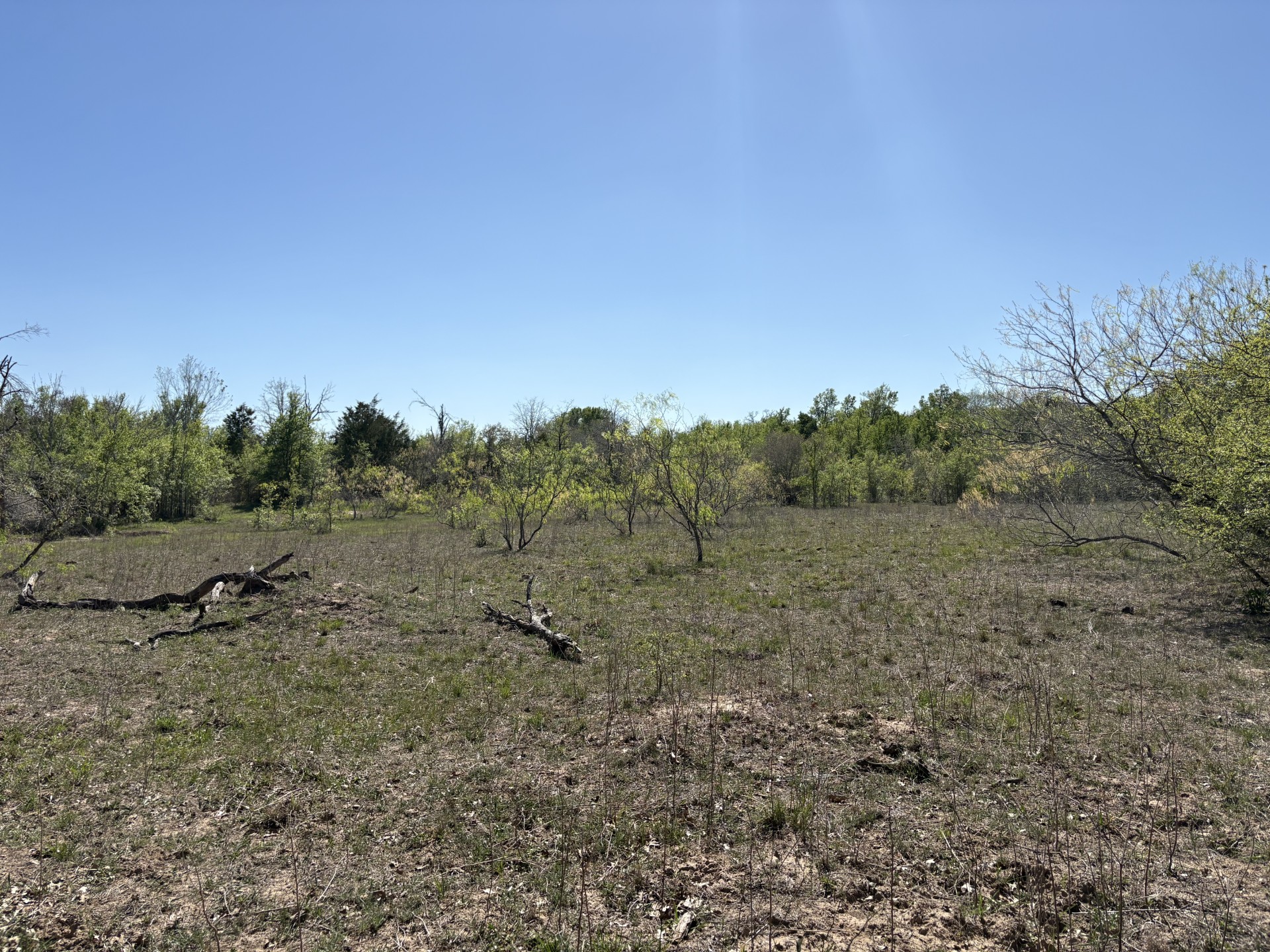 main property photo 24