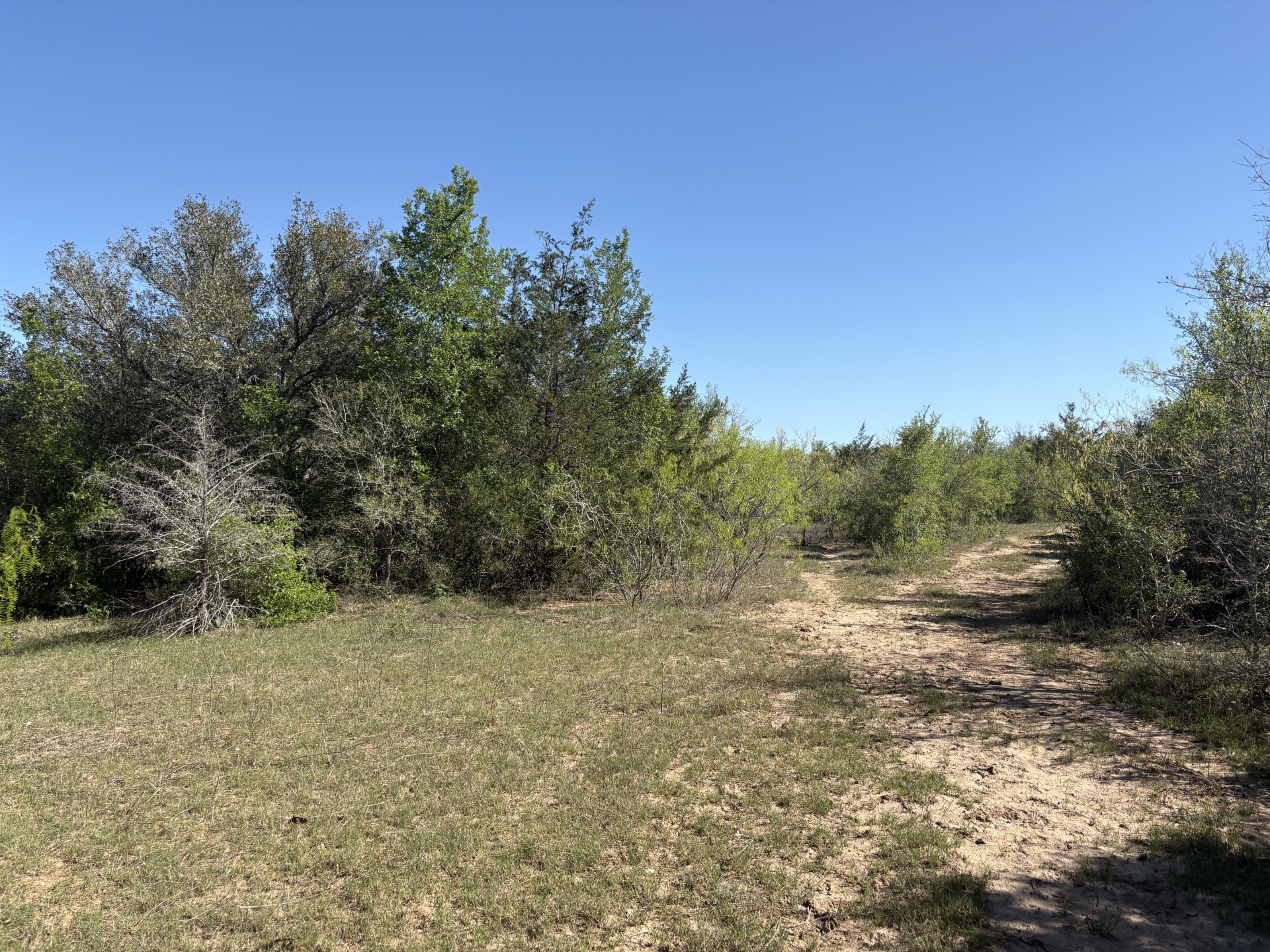 main property photo 29