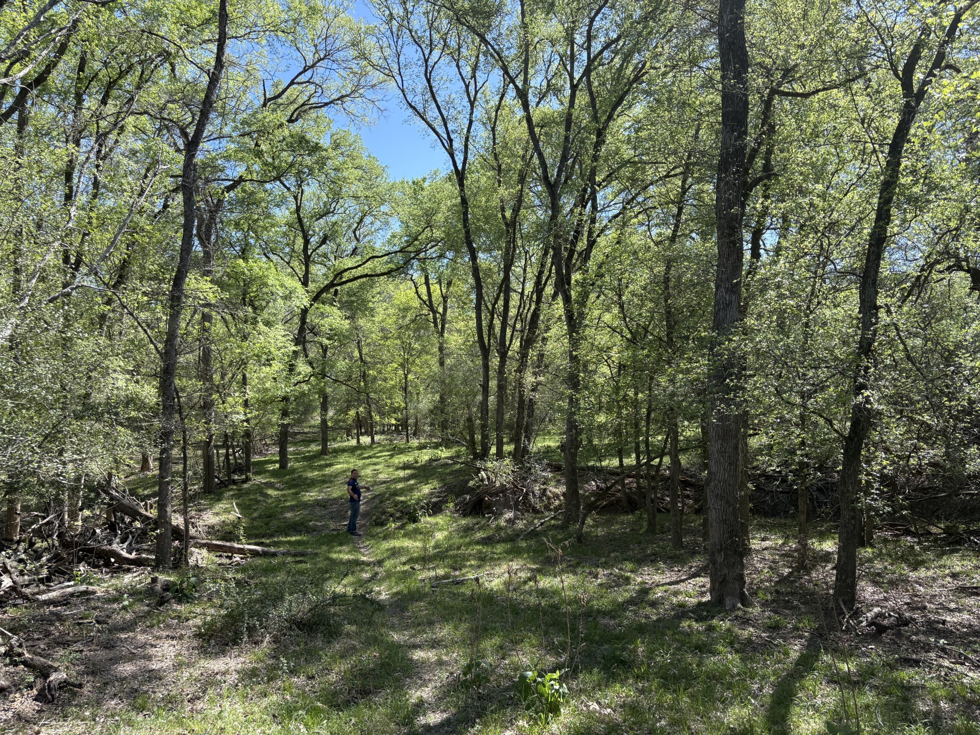 main property photo 9