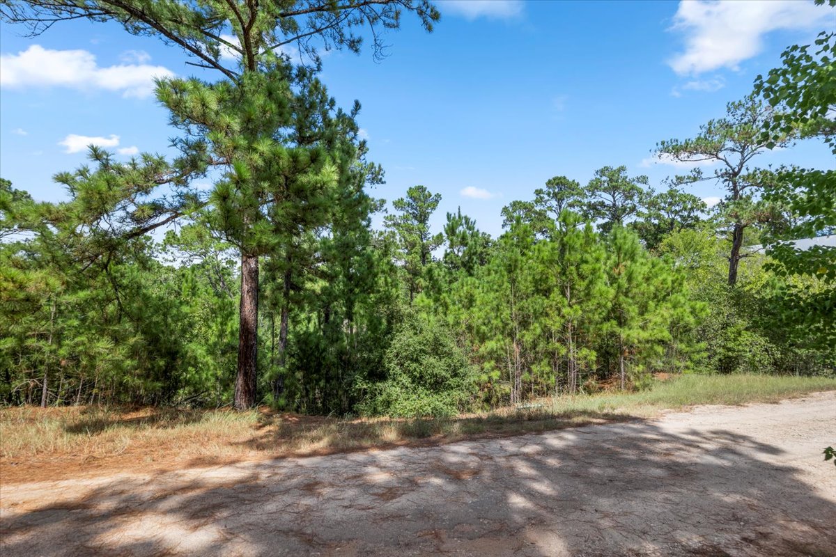 main property photo 11