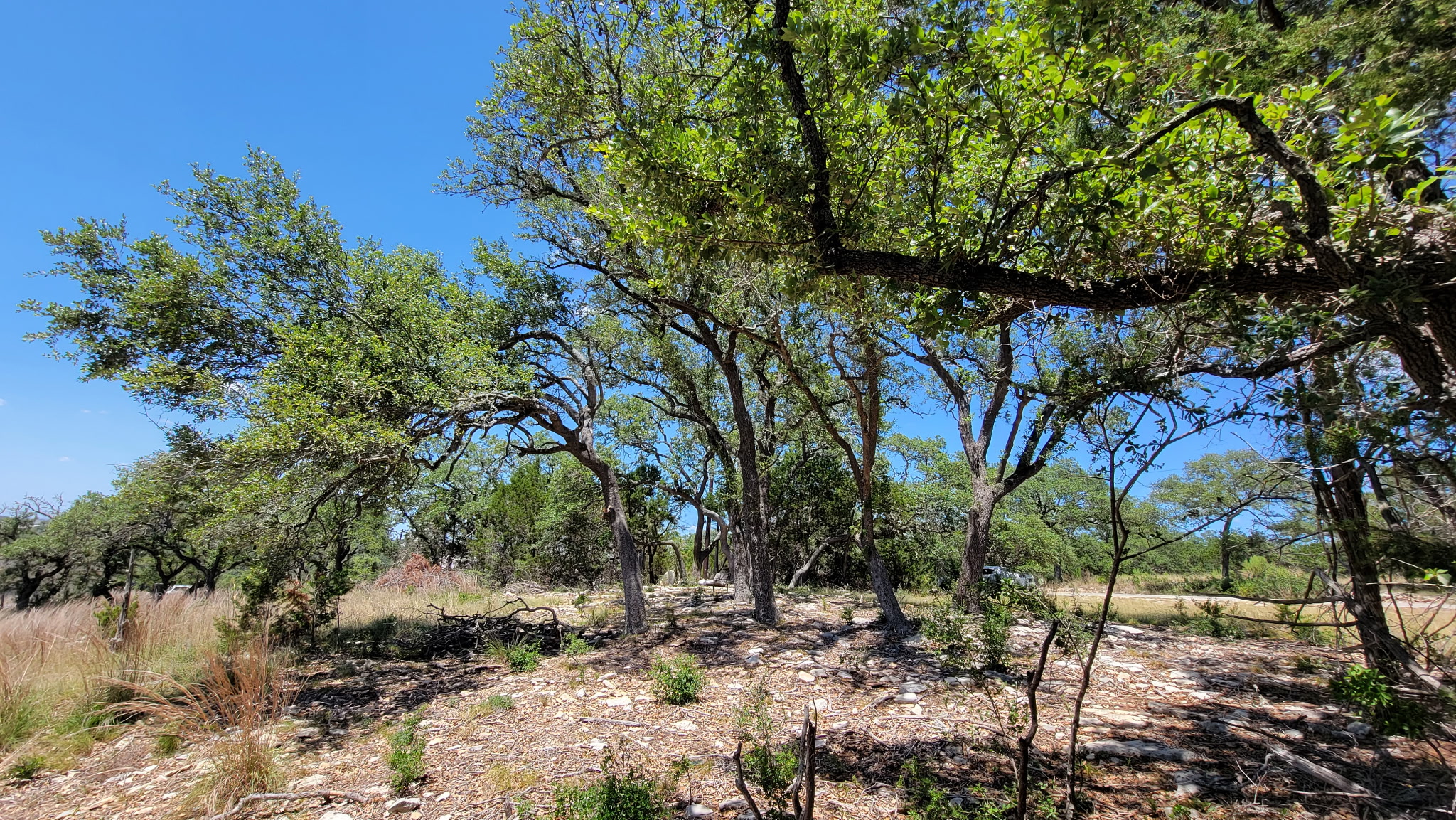 main property photo 17