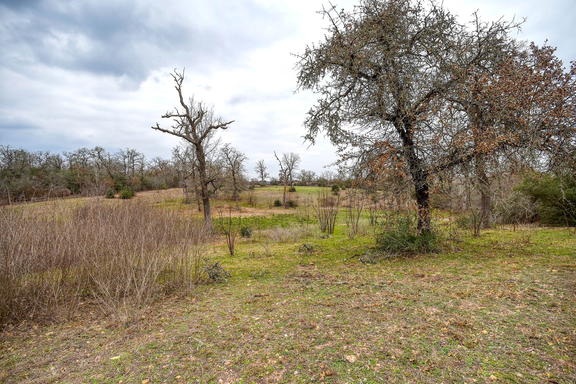 main property photo 26
