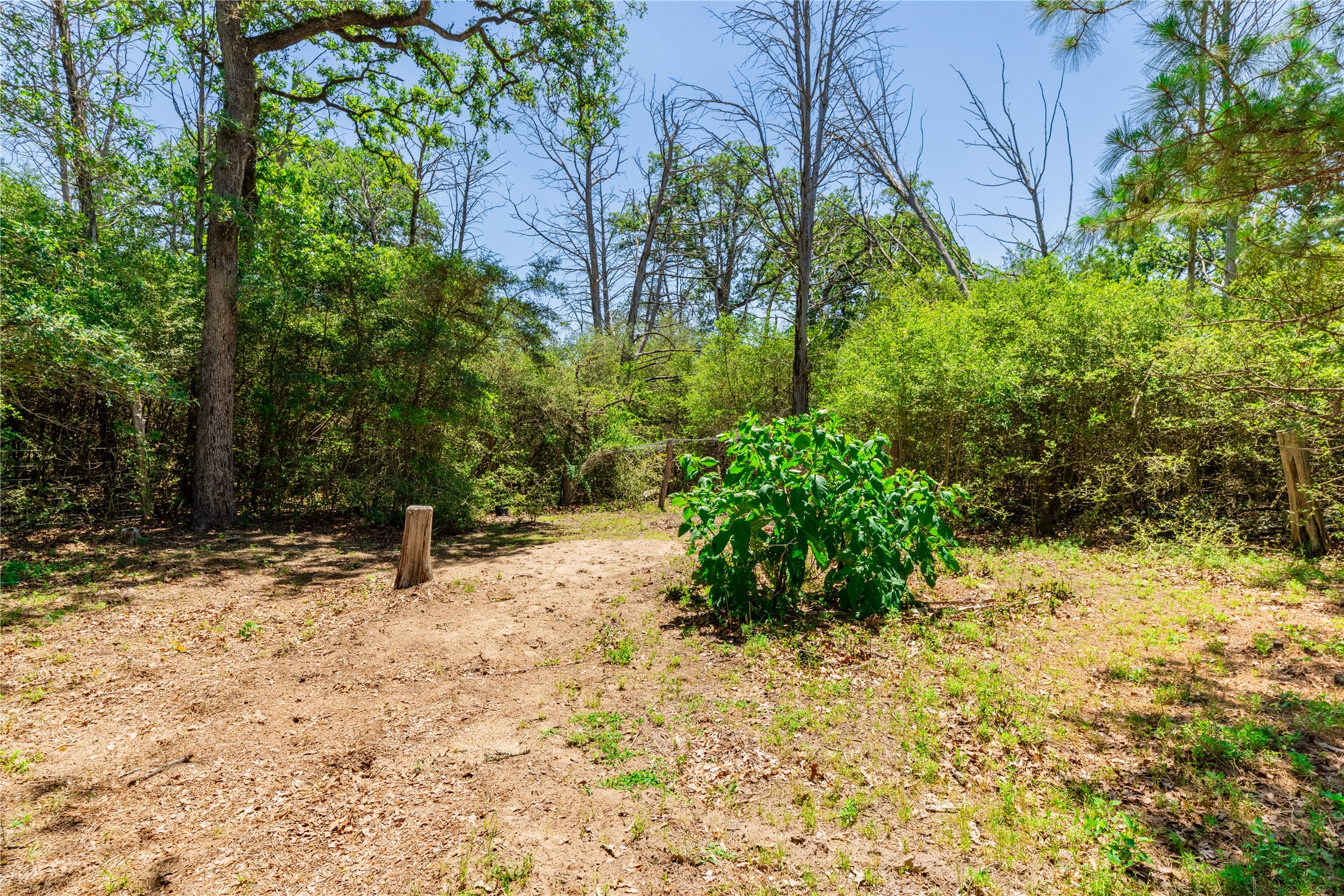 main property photo 27