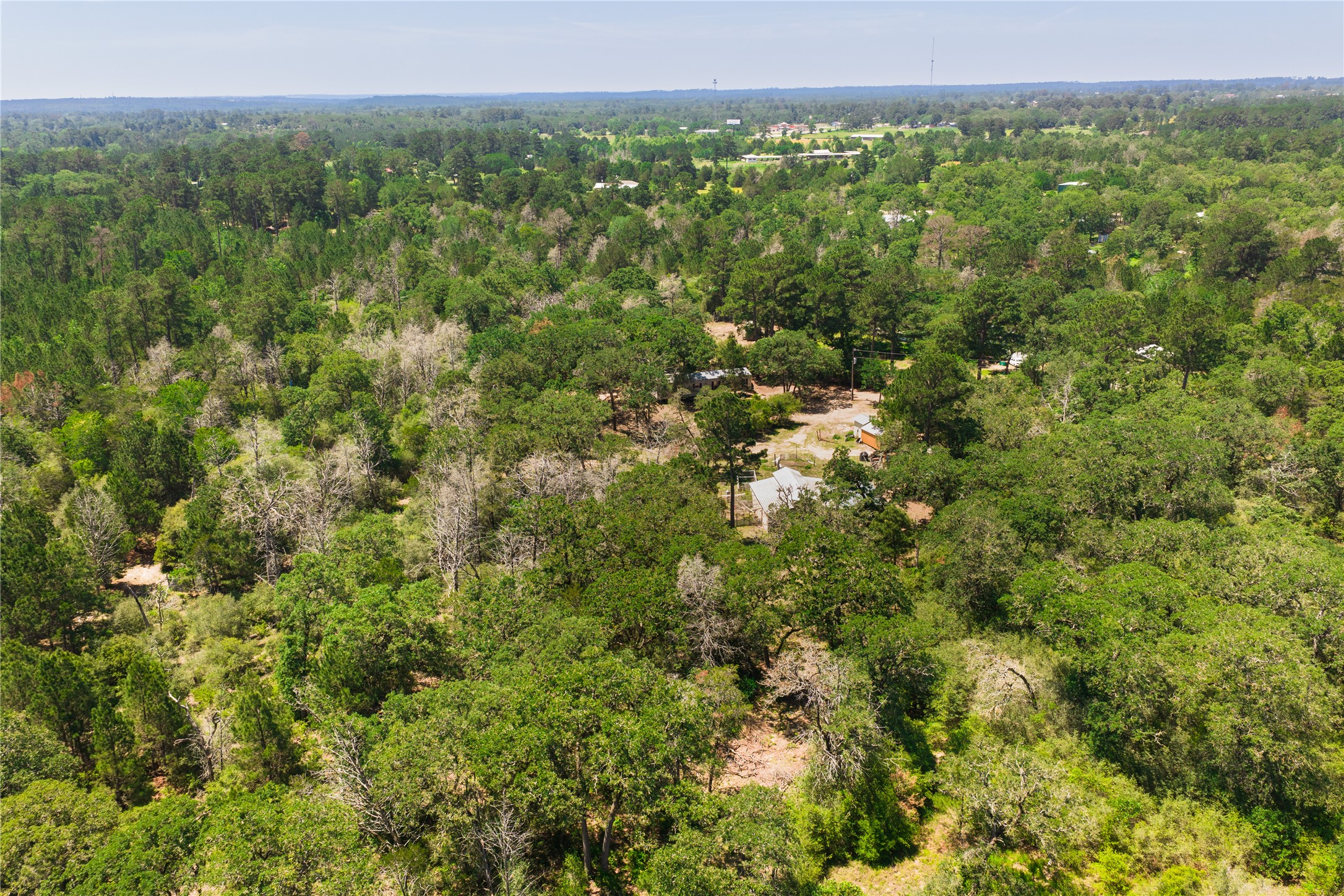main property photo 31
