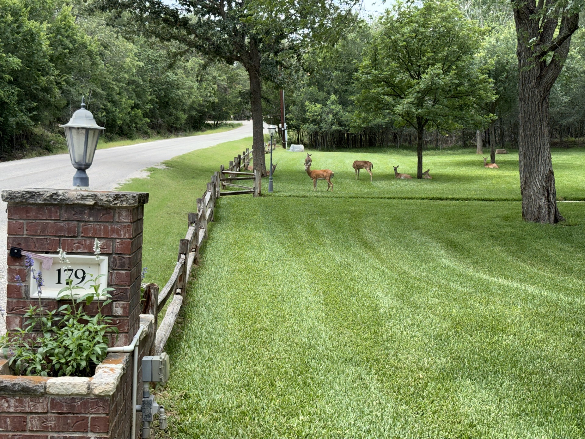 main property photo 6