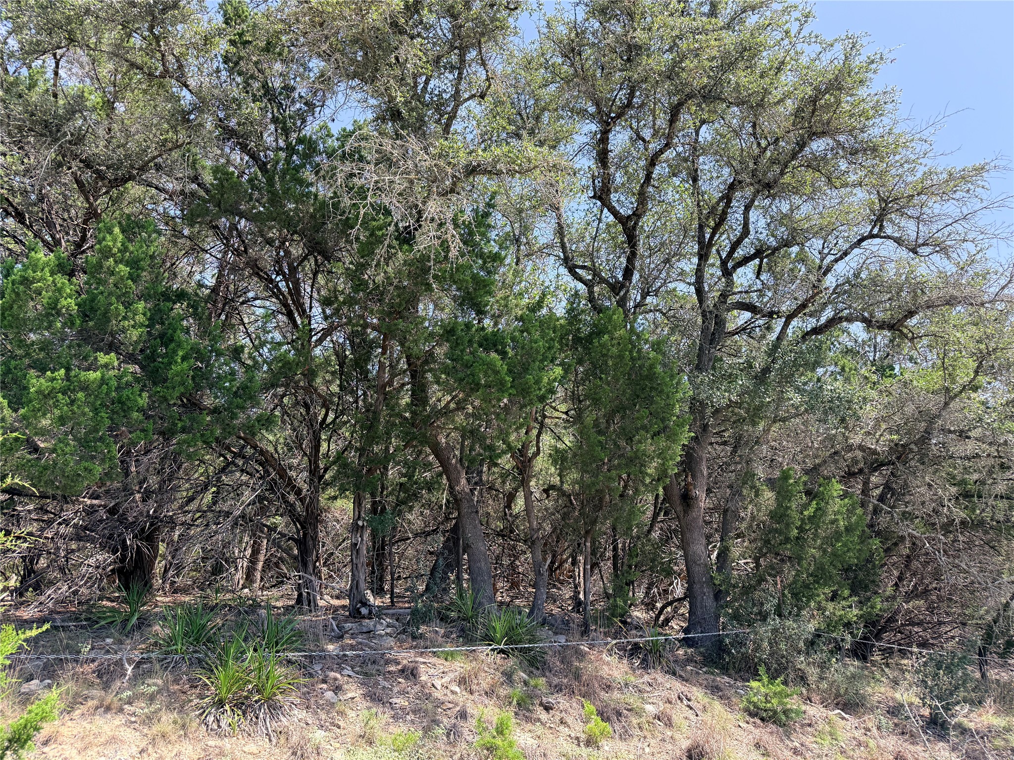 main property photo 16