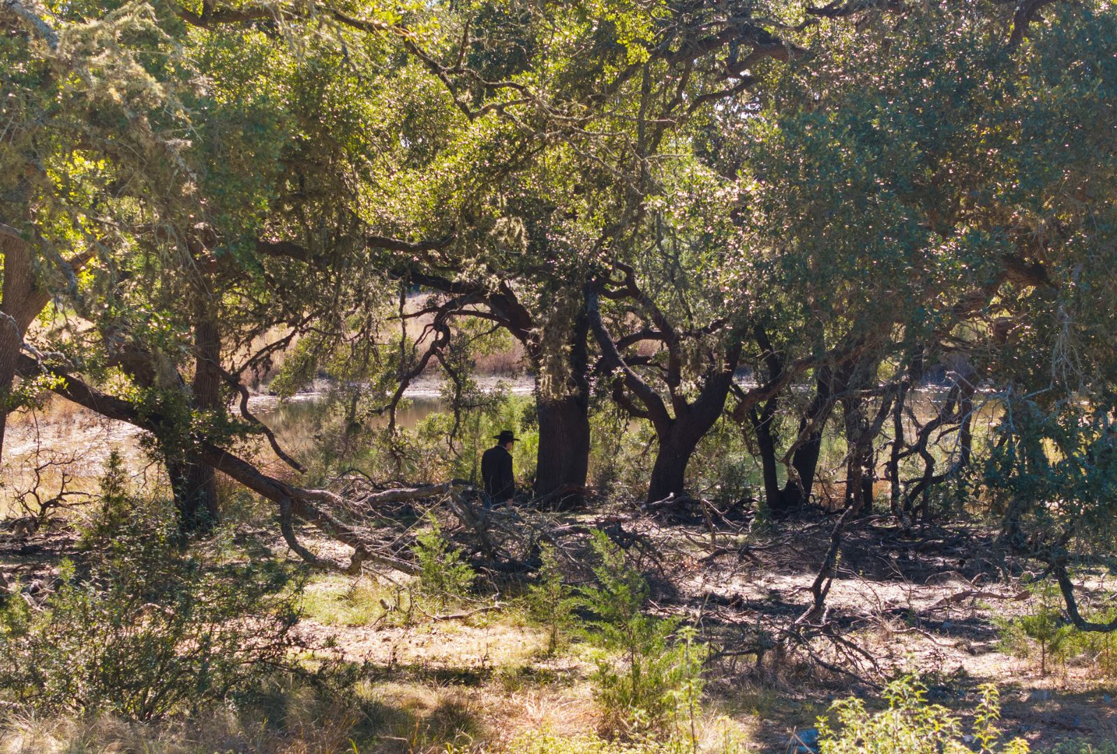 main property photo 16