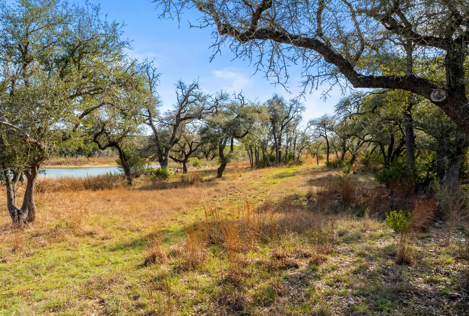 main property photo 35