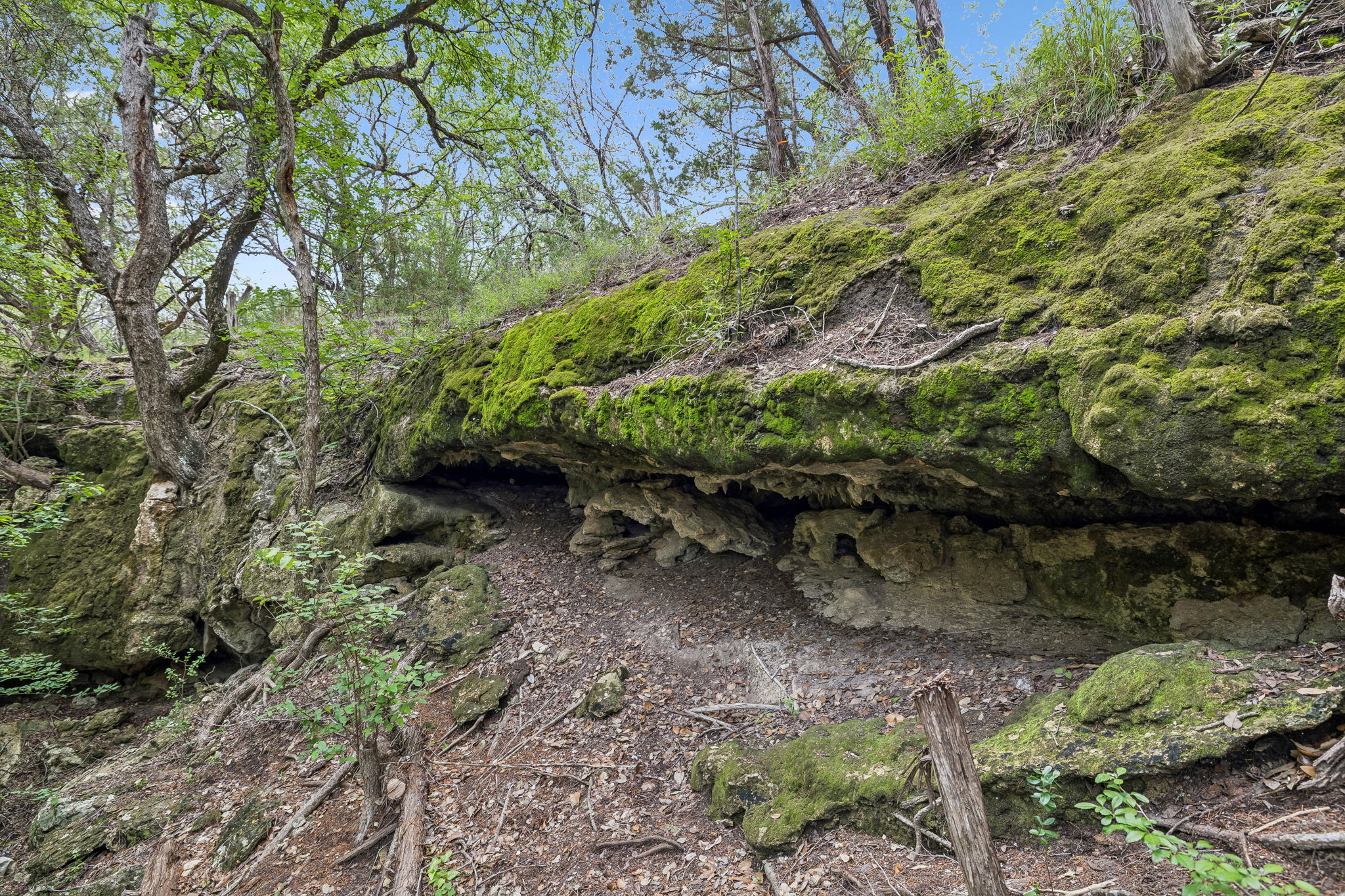 main property photo 7