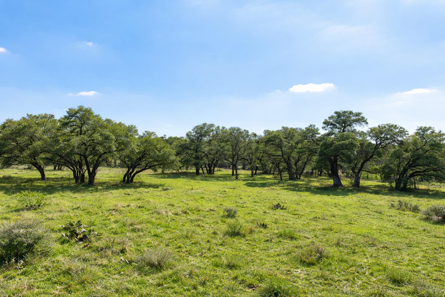 main property photo 35