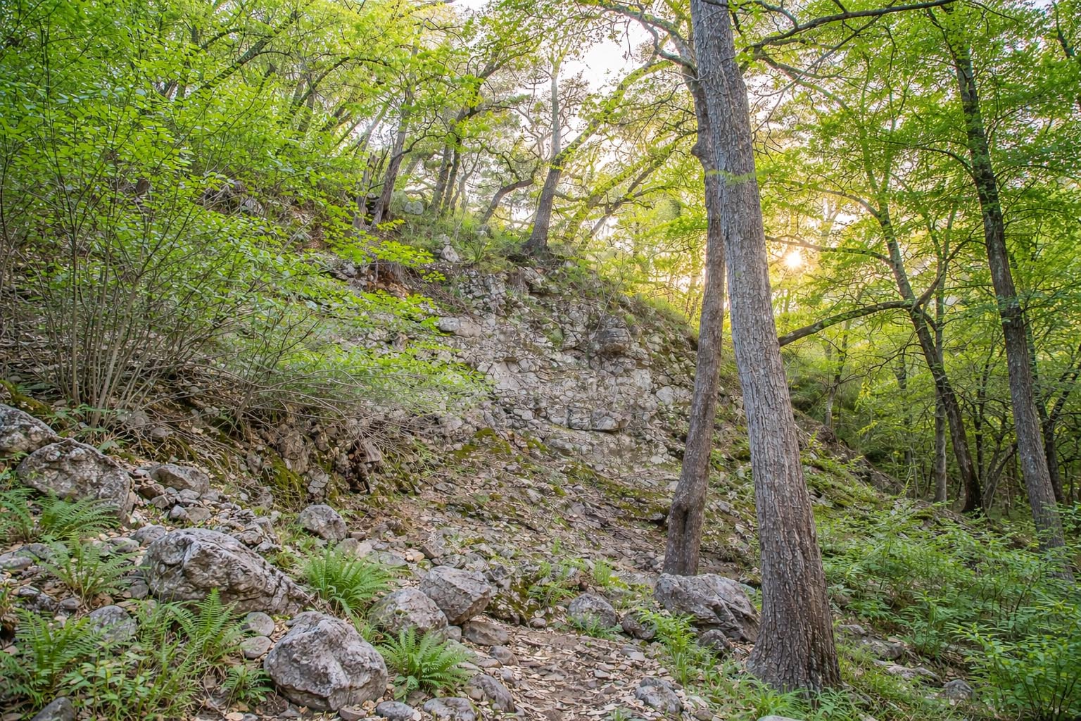 main property photo 37