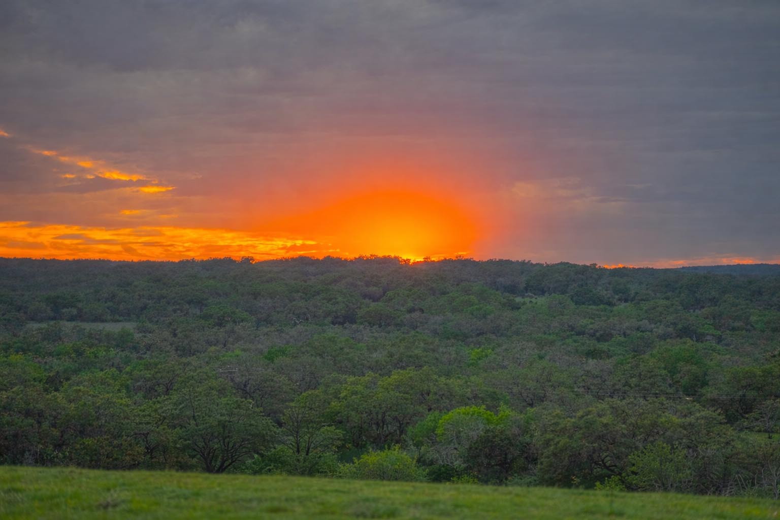 main property photo 39