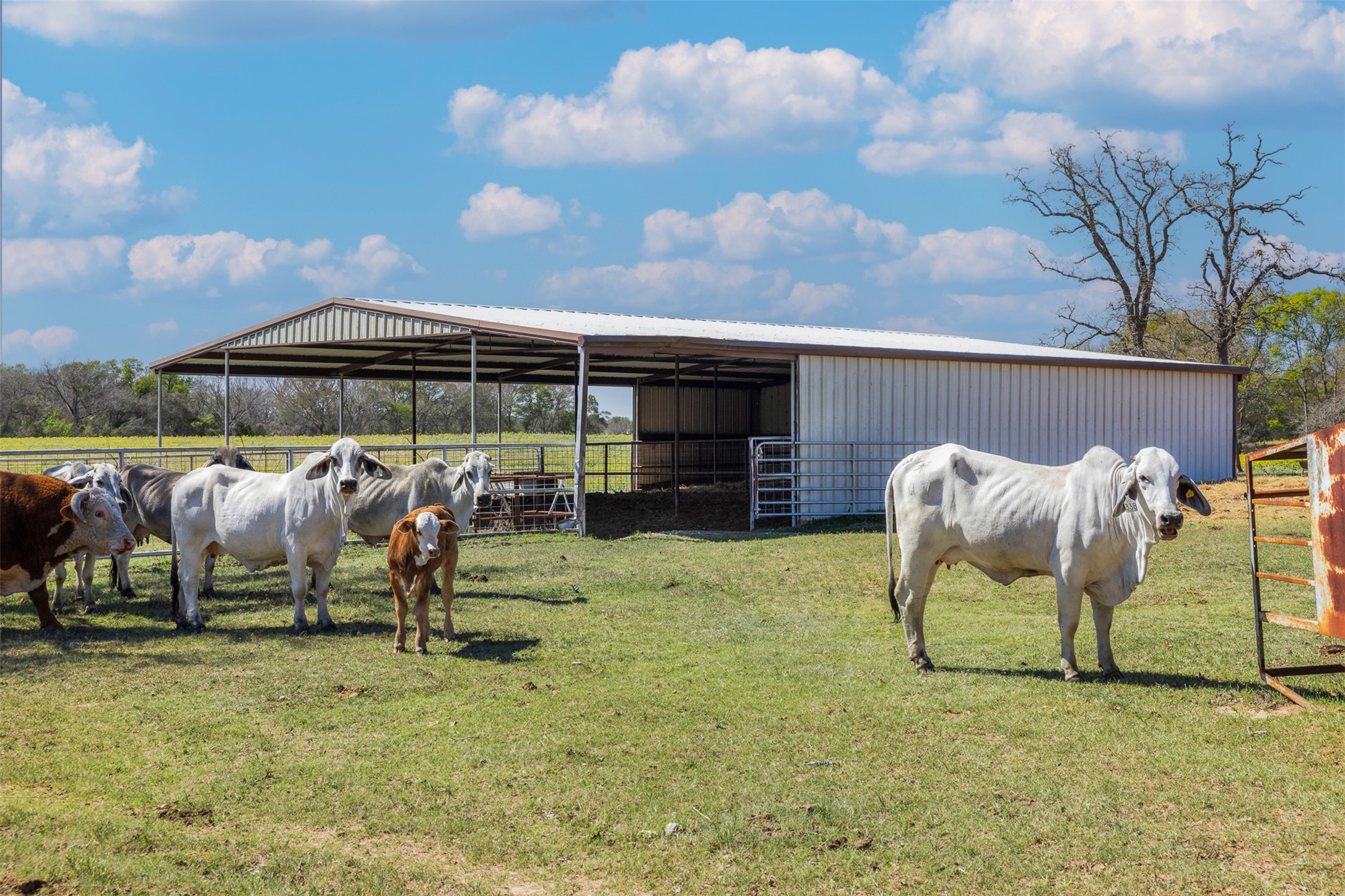 main property photo 36