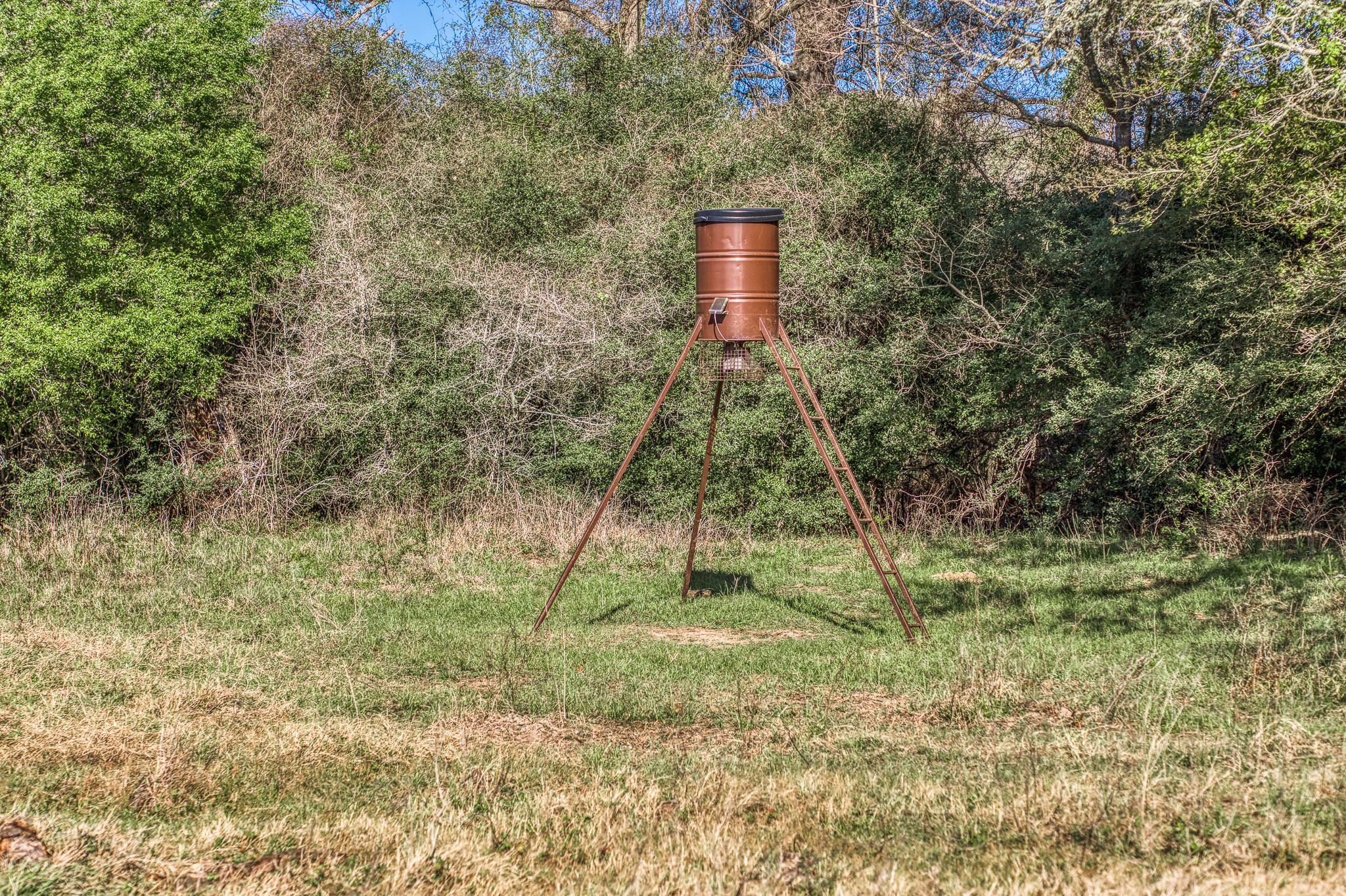 main property photo 39