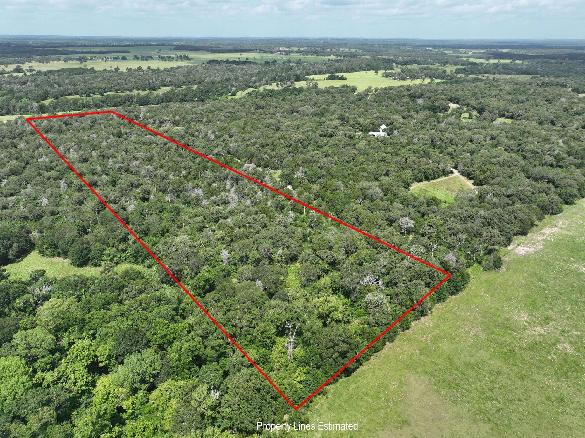 main property photo 9