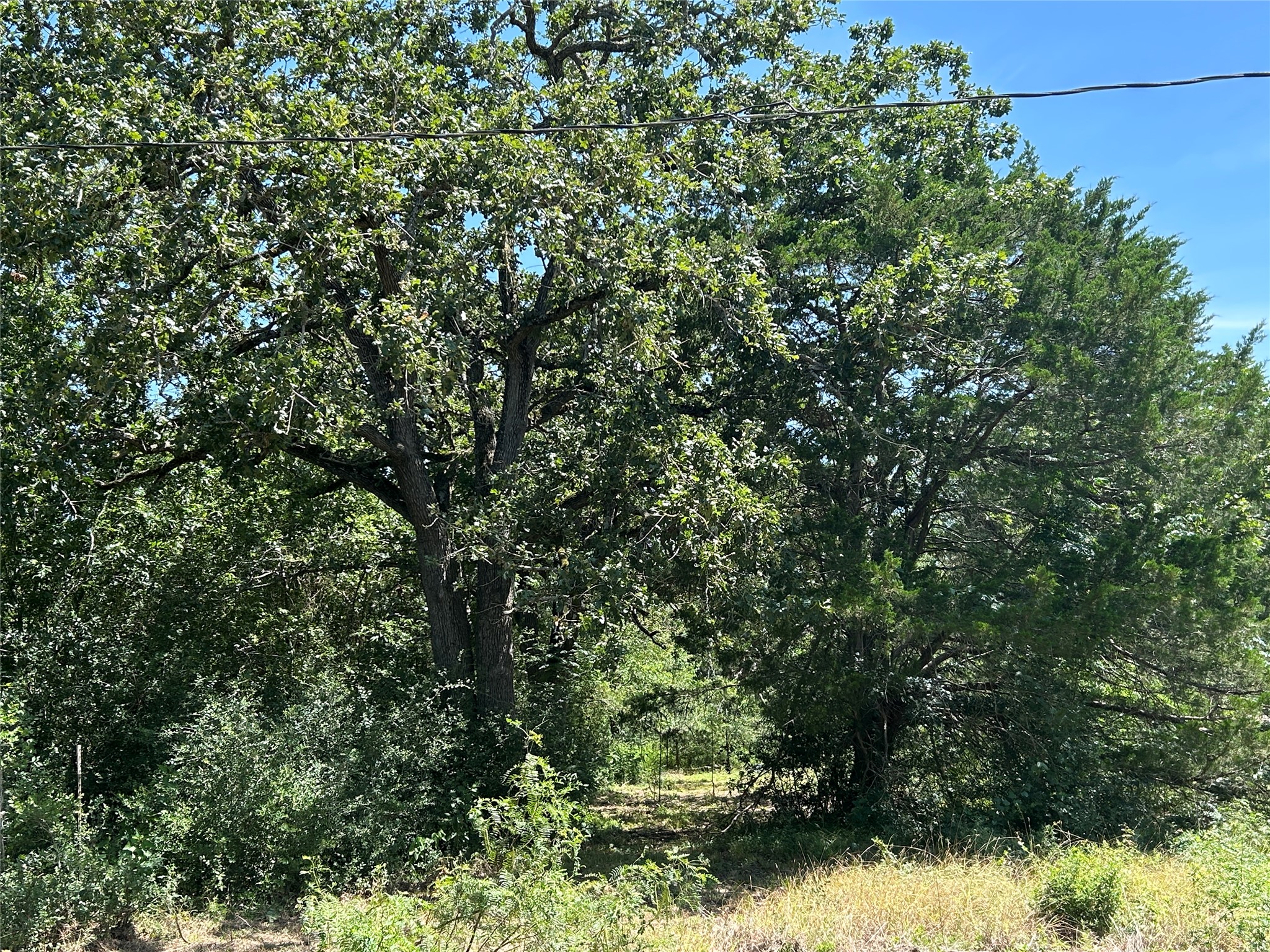 main property photo 18