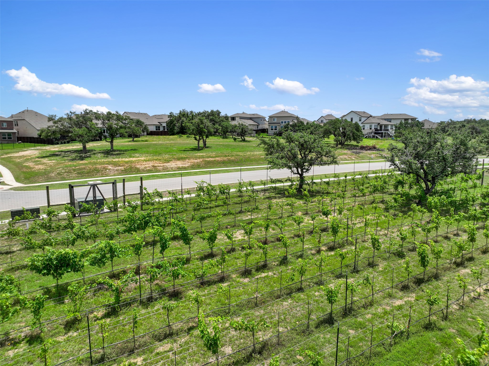 main property photo 31