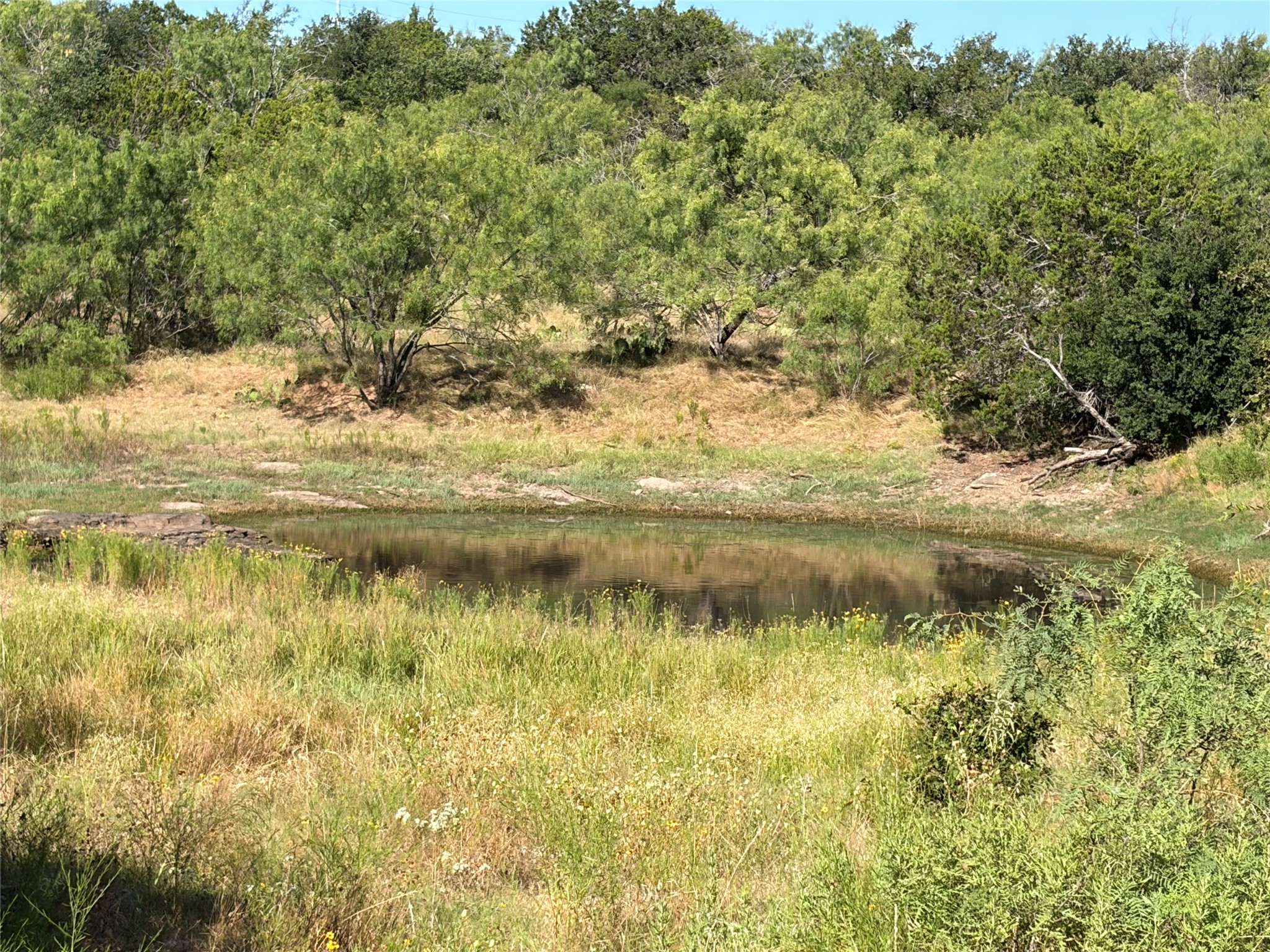 main property photo 18