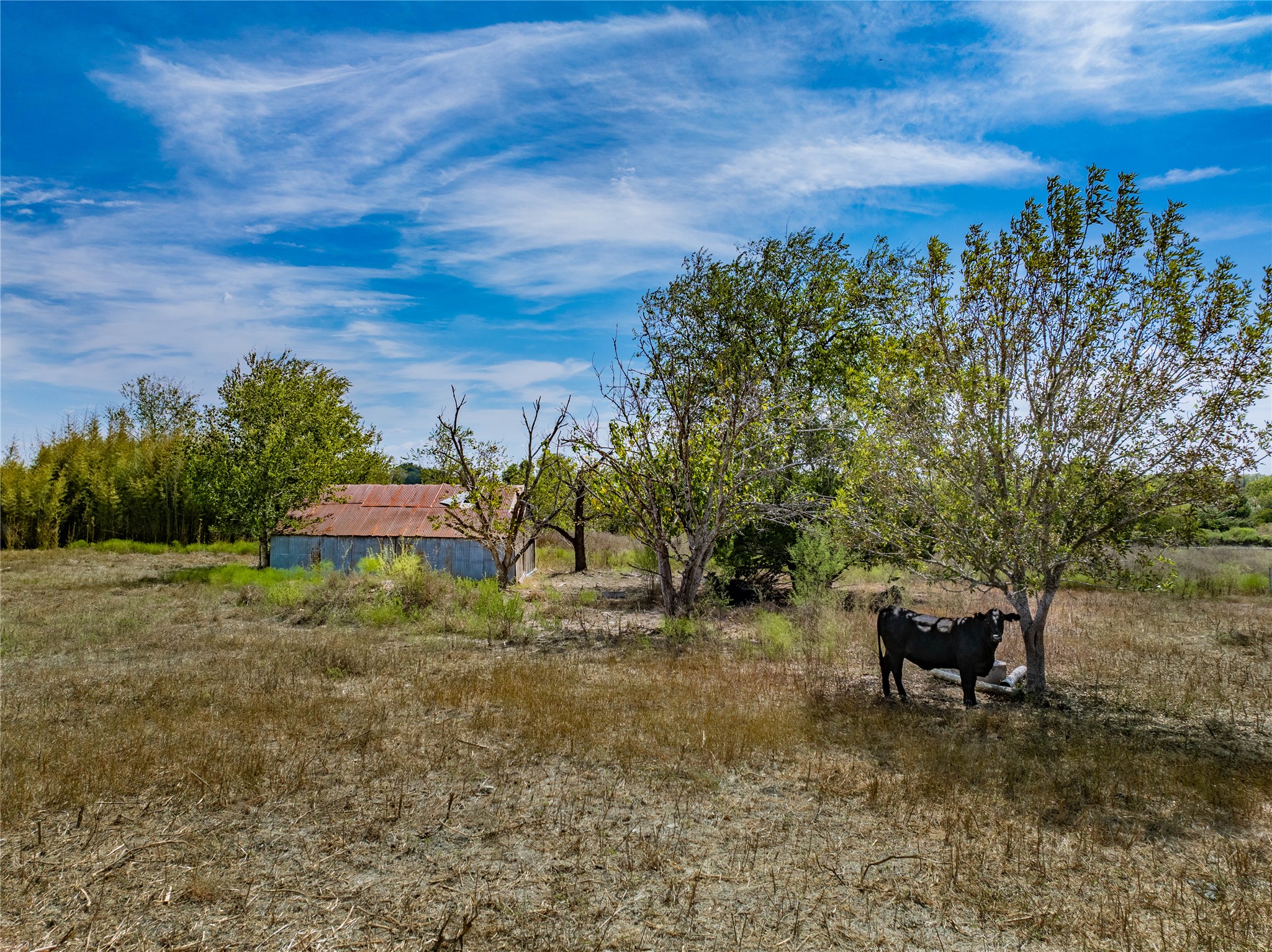 main property photo 26